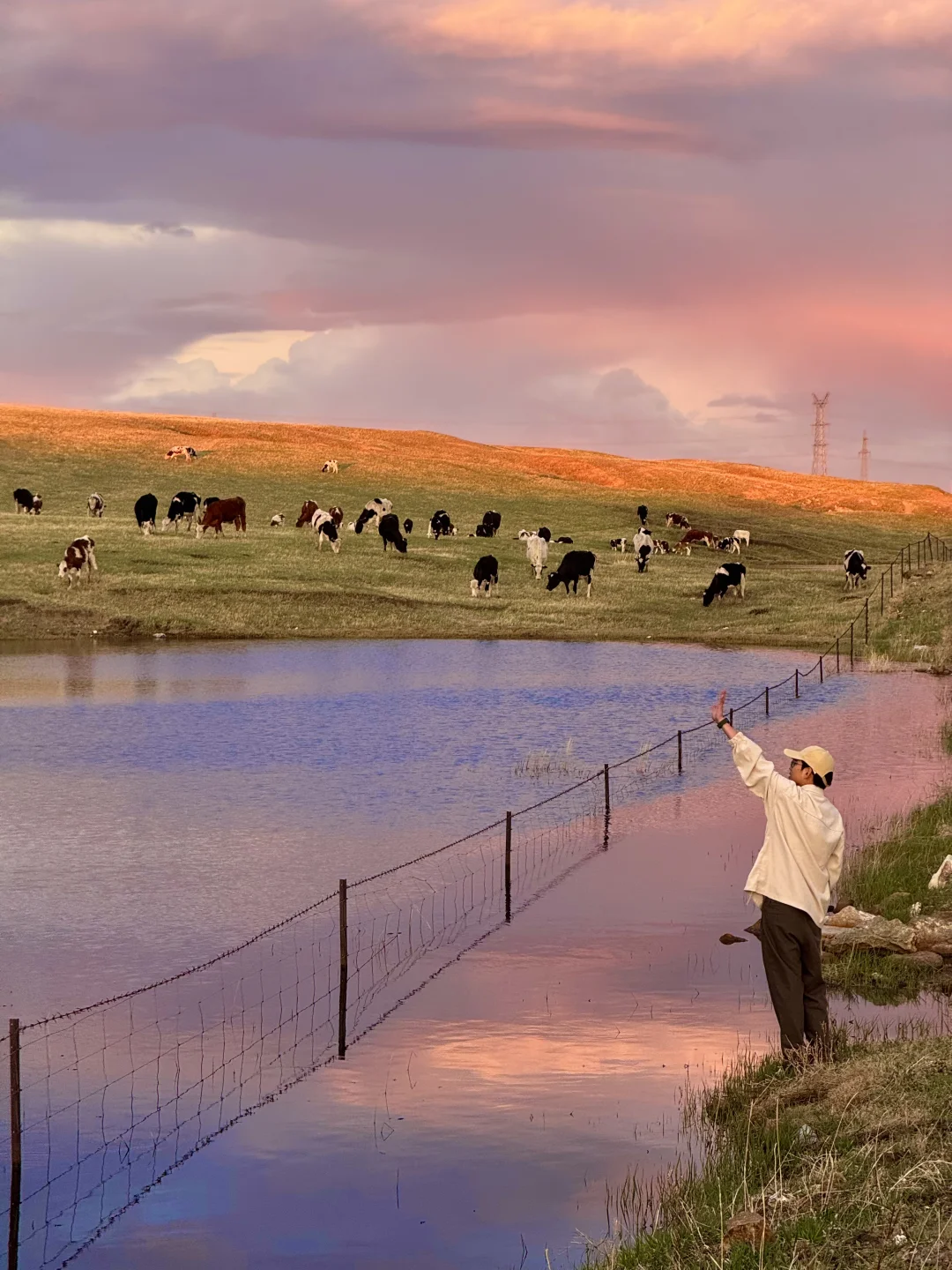 live呼伦贝尔这本书🐶小狗我呀又多读了一页