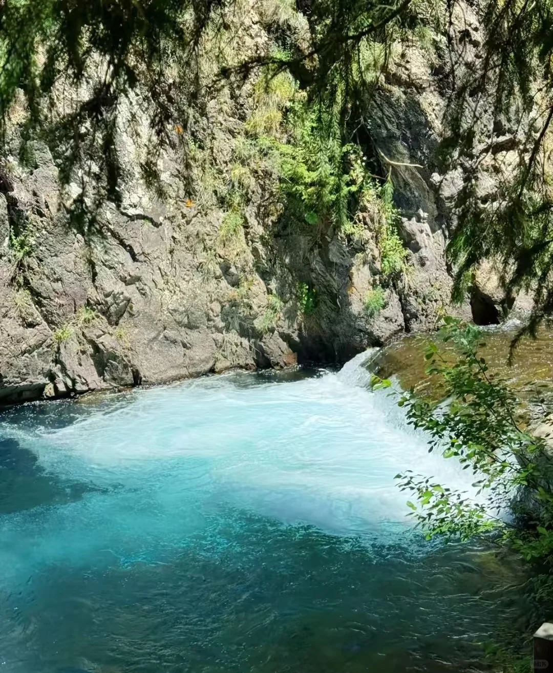 🌿端午限定！天山天池保姆级攻略