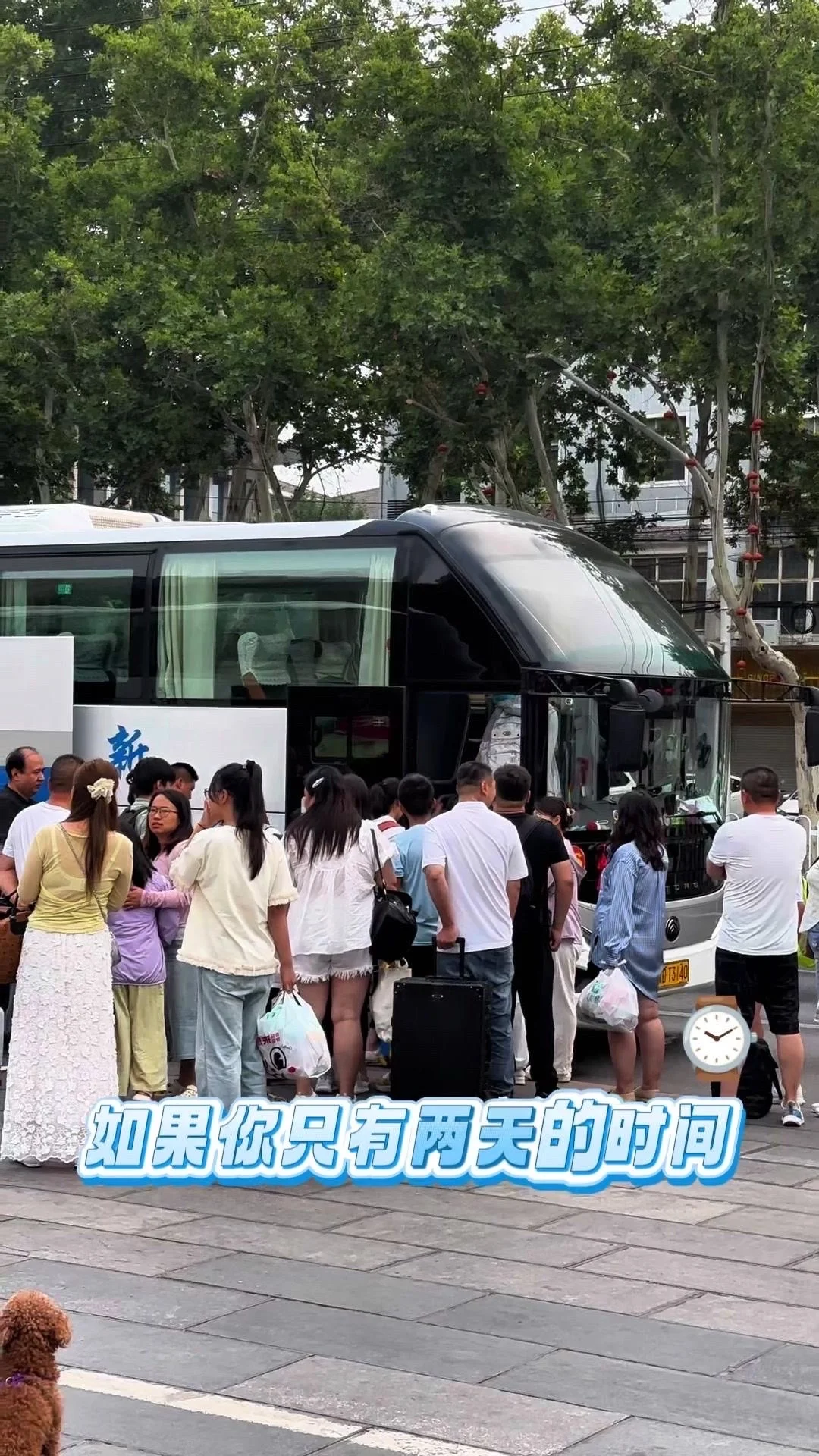 🏖️邯郸朋友的日照旅游攻略