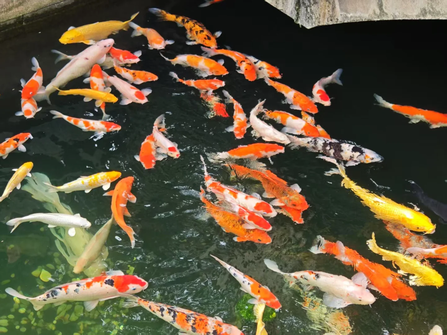 端午节｜苏州三天两晚保姆级旅游攻略