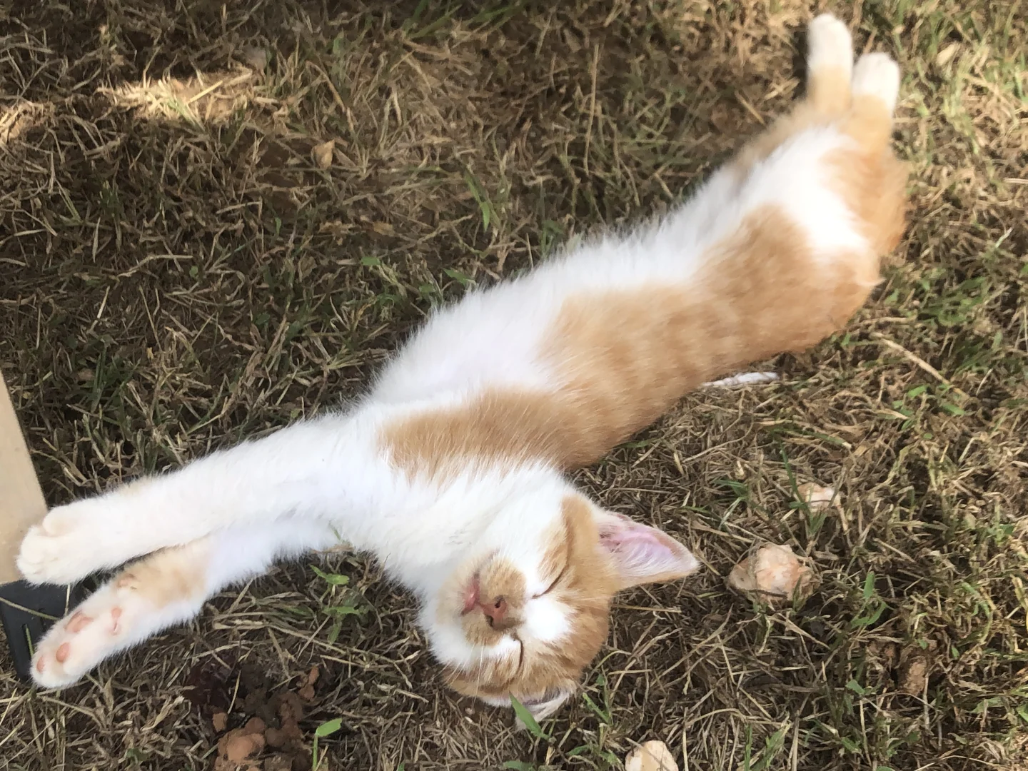 这里的风景真的太治愈了🍃