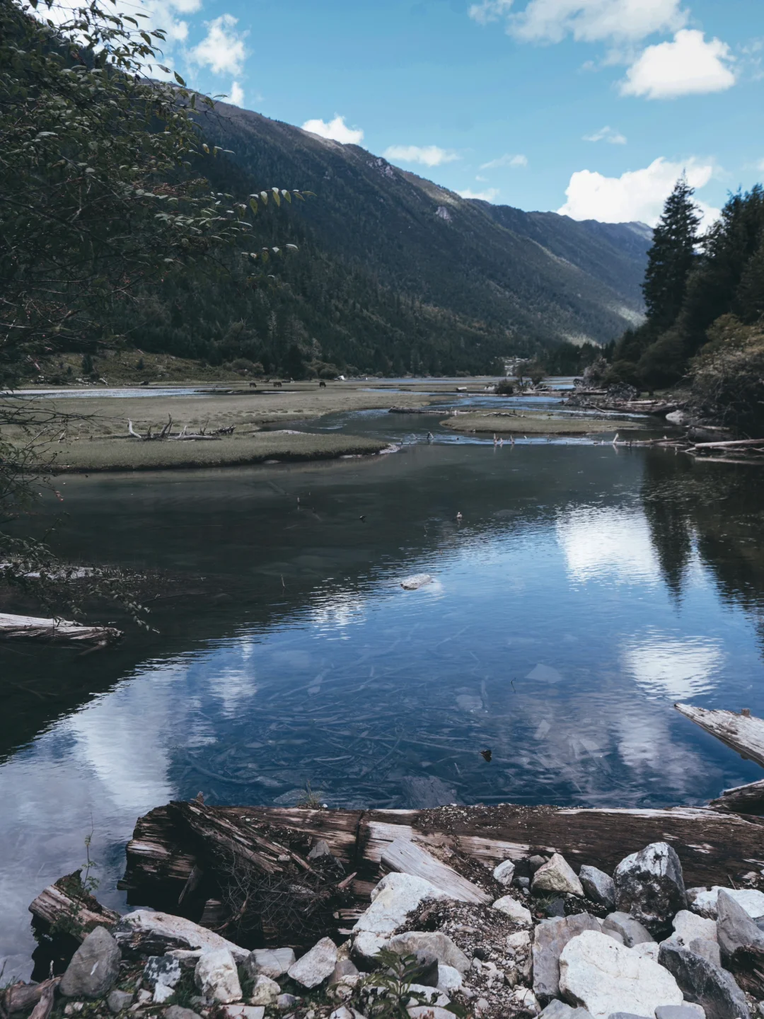 闯入现实版绿野仙踪🌿川西月亮湖绝美徒步⛰️