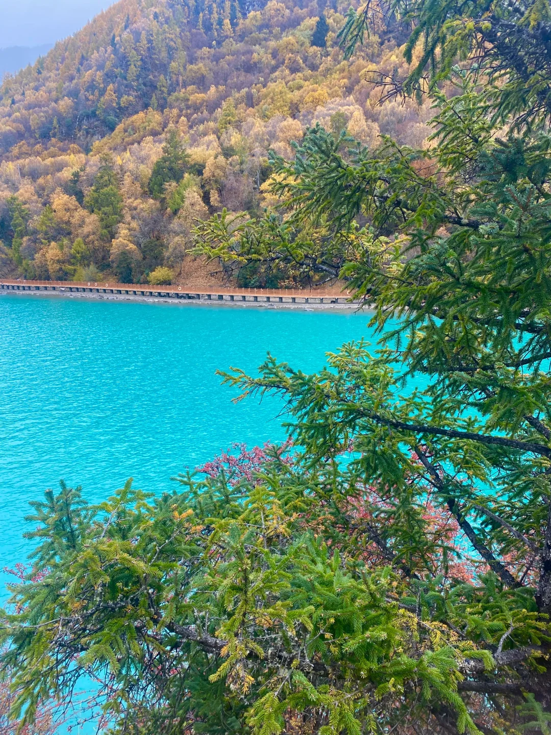 💥毕业季｜西藏旅游攻略之《避踩坑版》