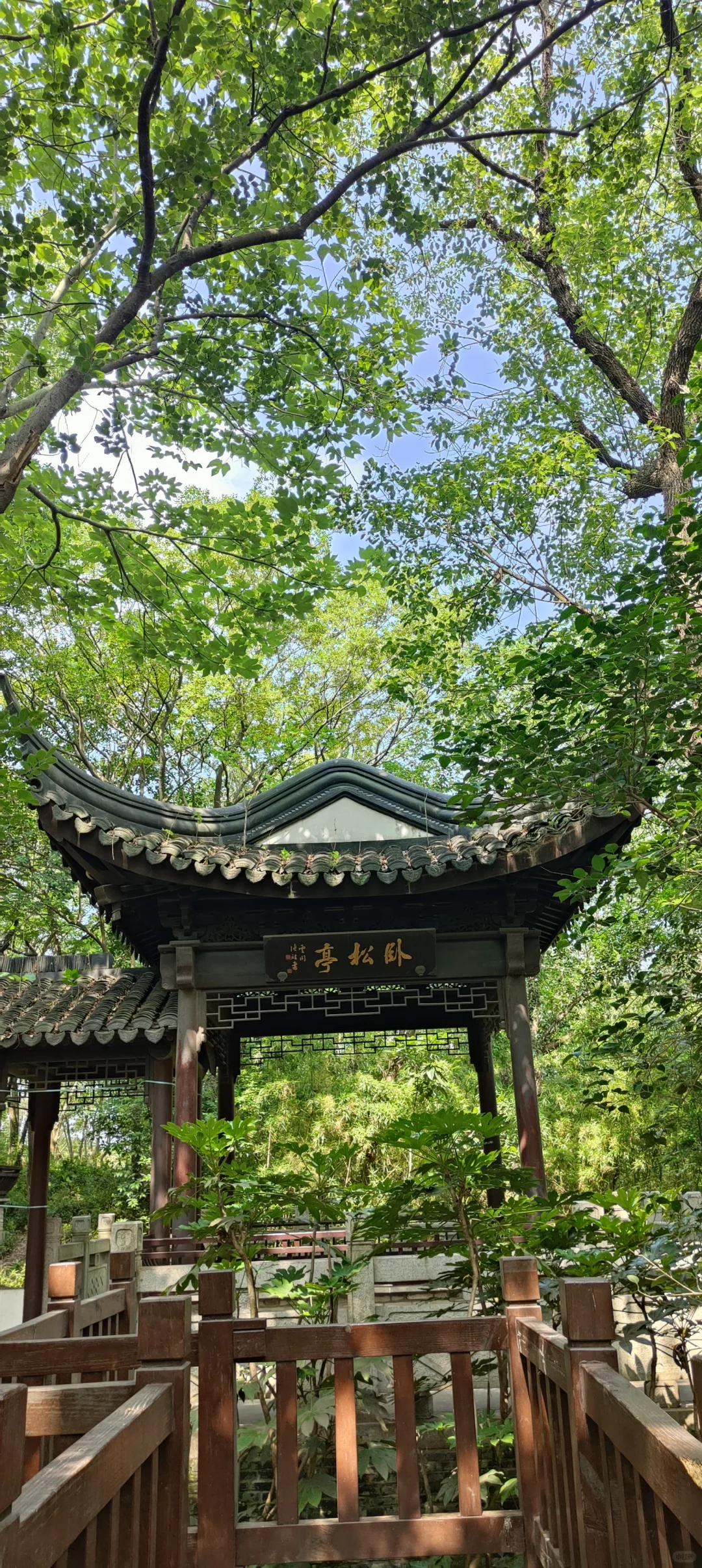 属于上海的小众天然氧吧