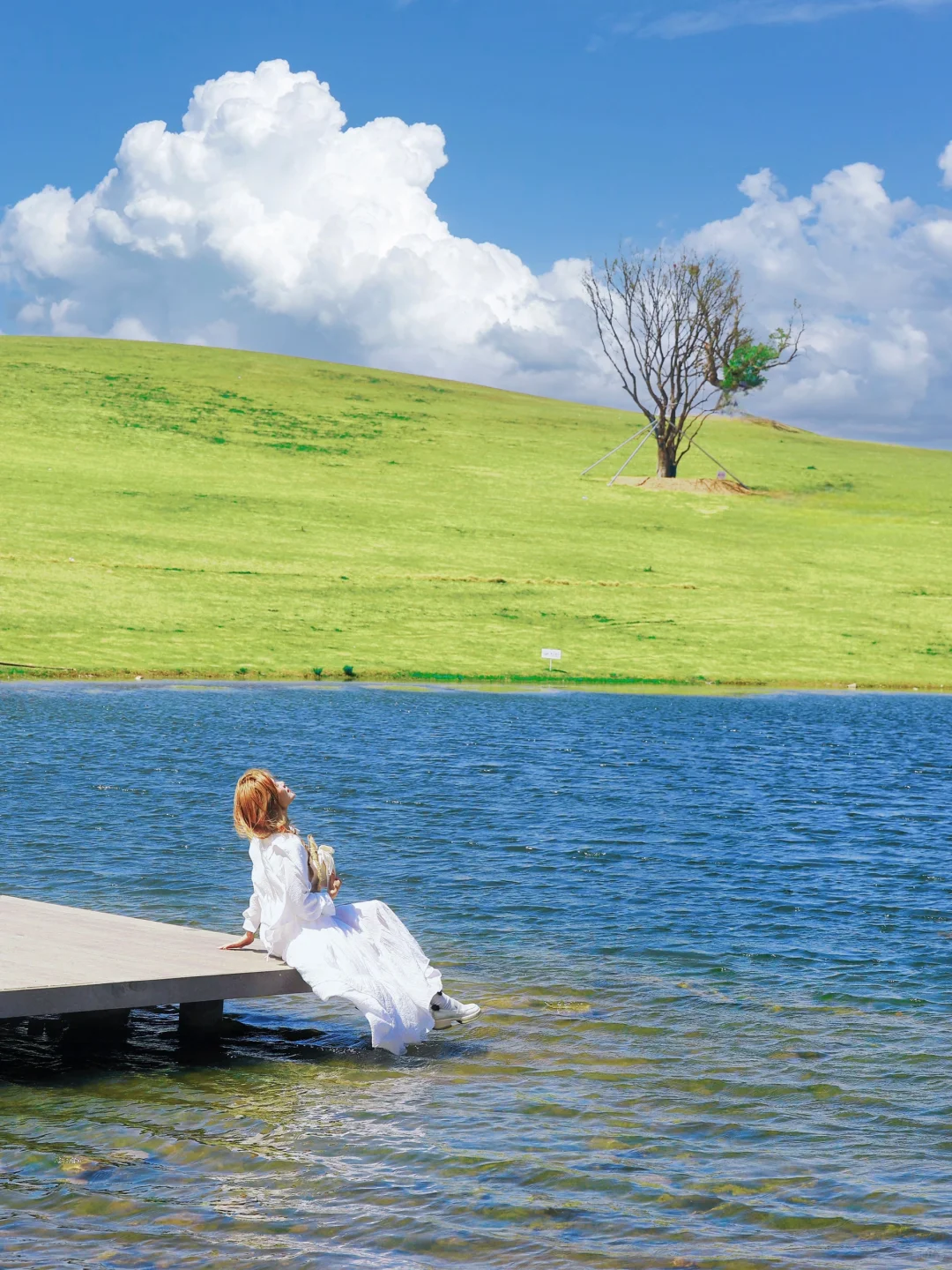 发朋友圈问疯了❗️这里真的不是阿勒泰‼️