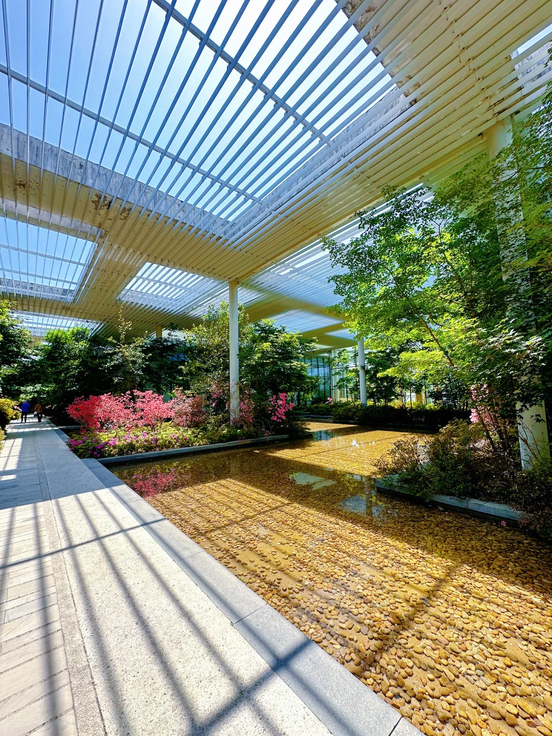 发朋友圈问疯了❗️这里真的不是阿勒泰‼️