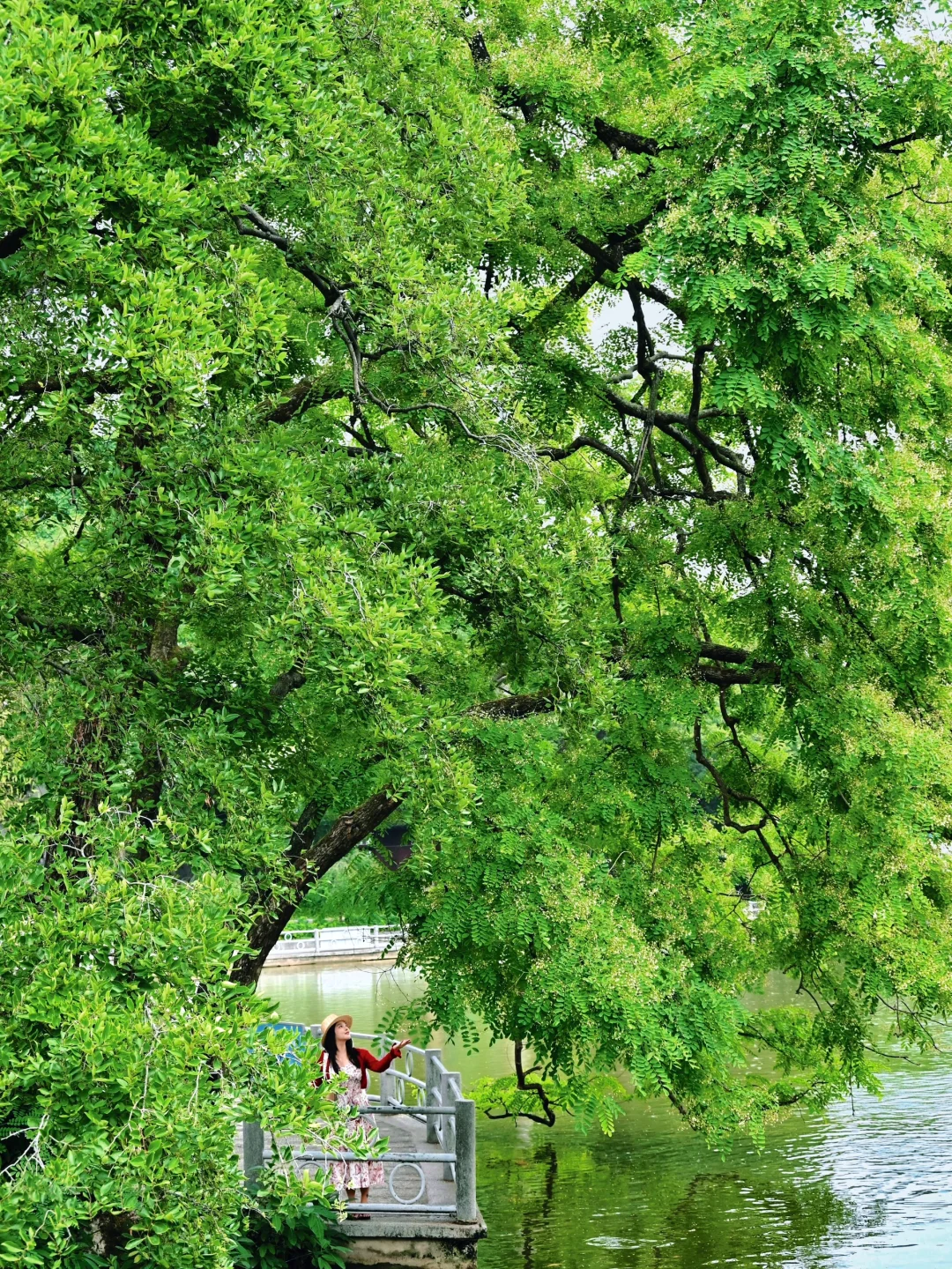 为了这18张图，我特意飞了趟柳州。。。