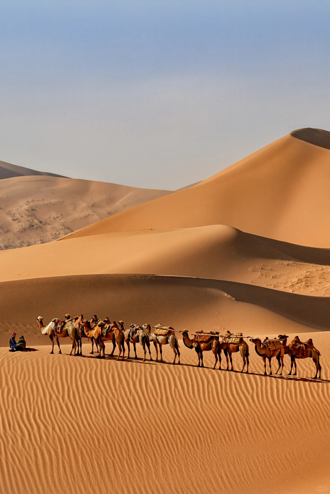 🍀逃离班味，去呼吸自然味道