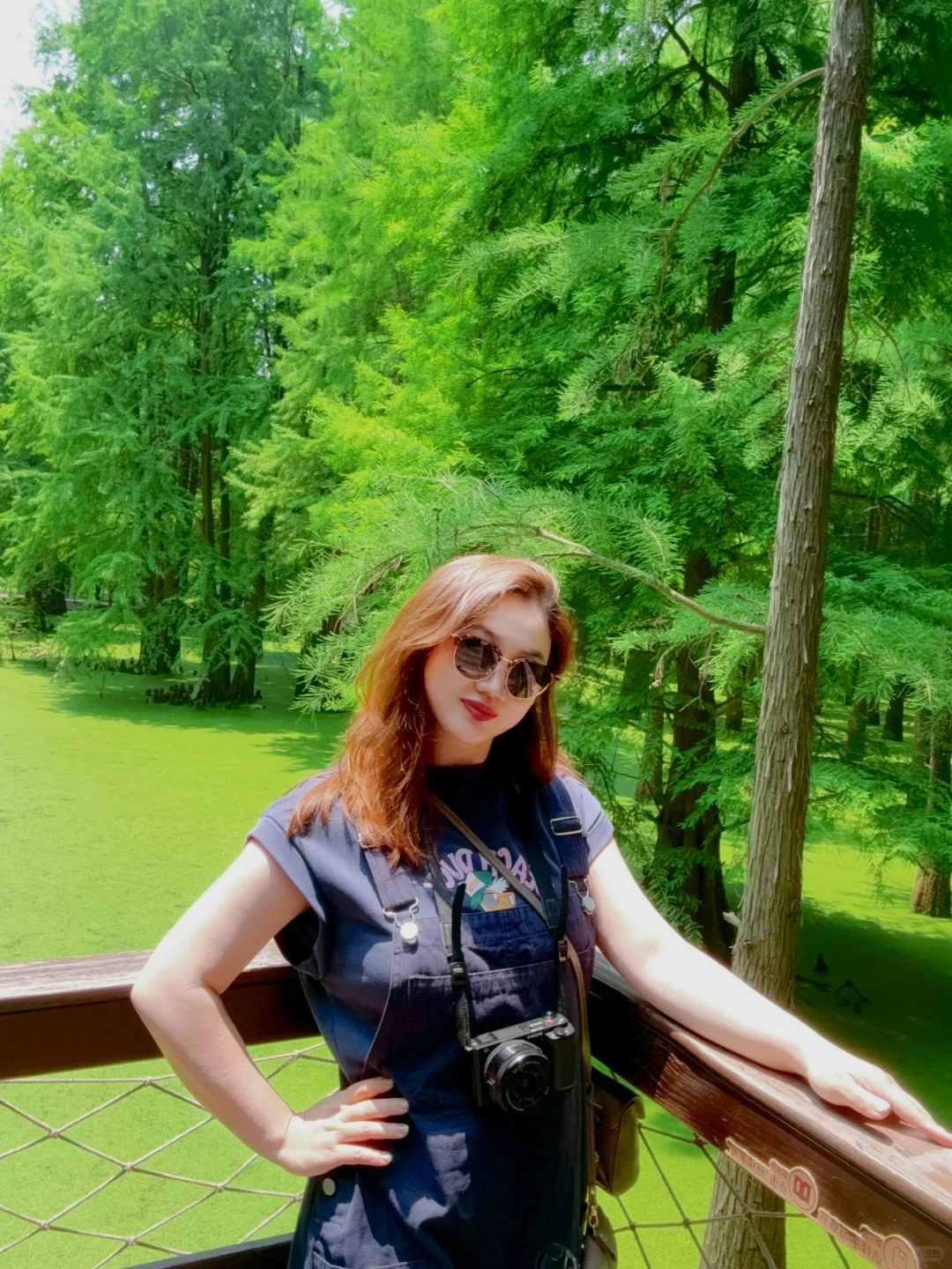 杭州景区next level了