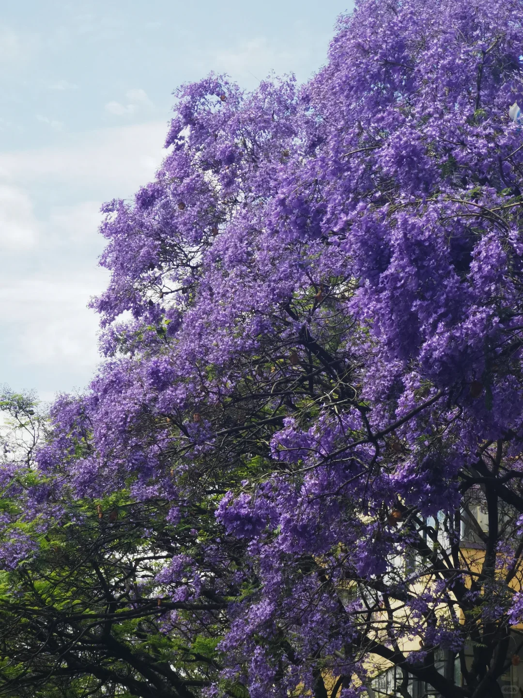 旅游攻略分享——昆明