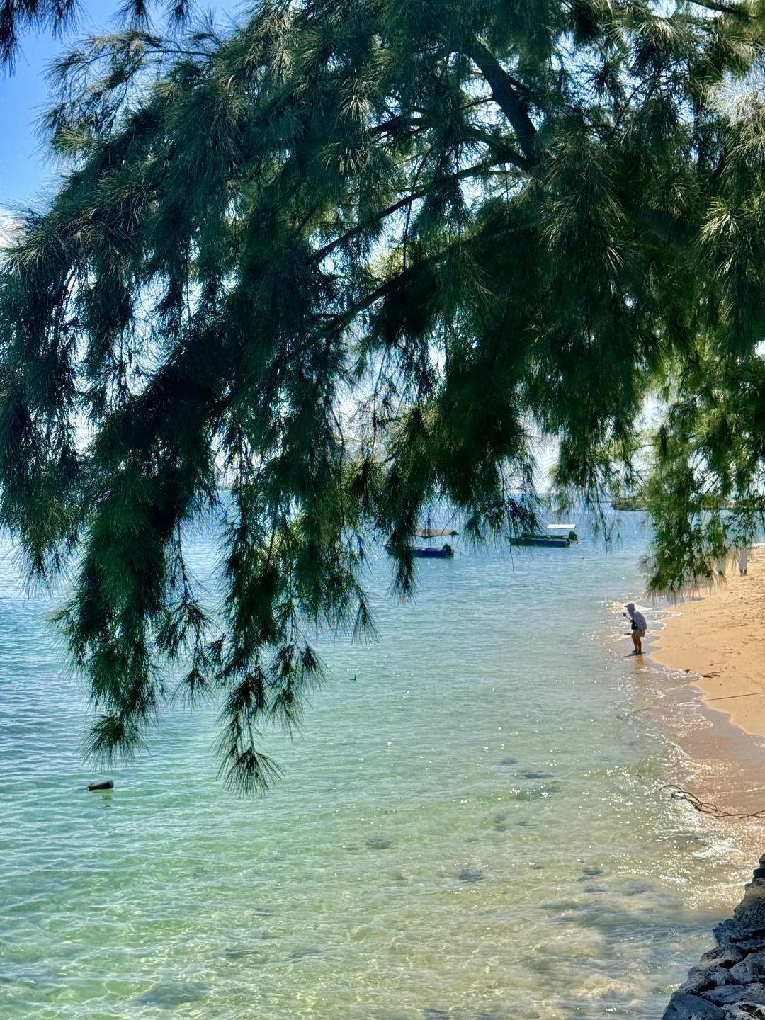 三亚刚回…本j人对自己的旅游复盘甚是满意！！