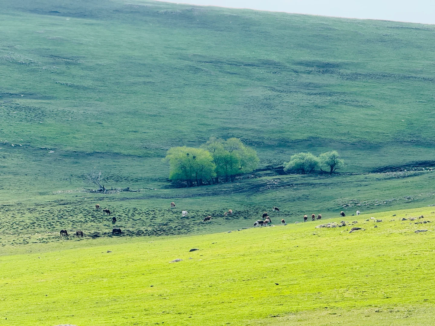 北京出发赤峰大青山两天一晚