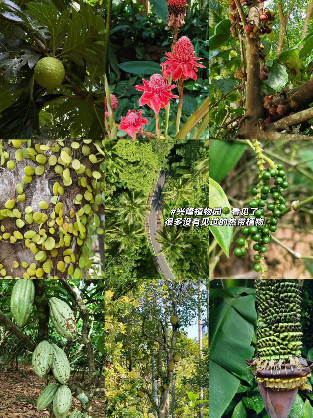 万宁超全旅游攻略！！能帮一个是一个✔️