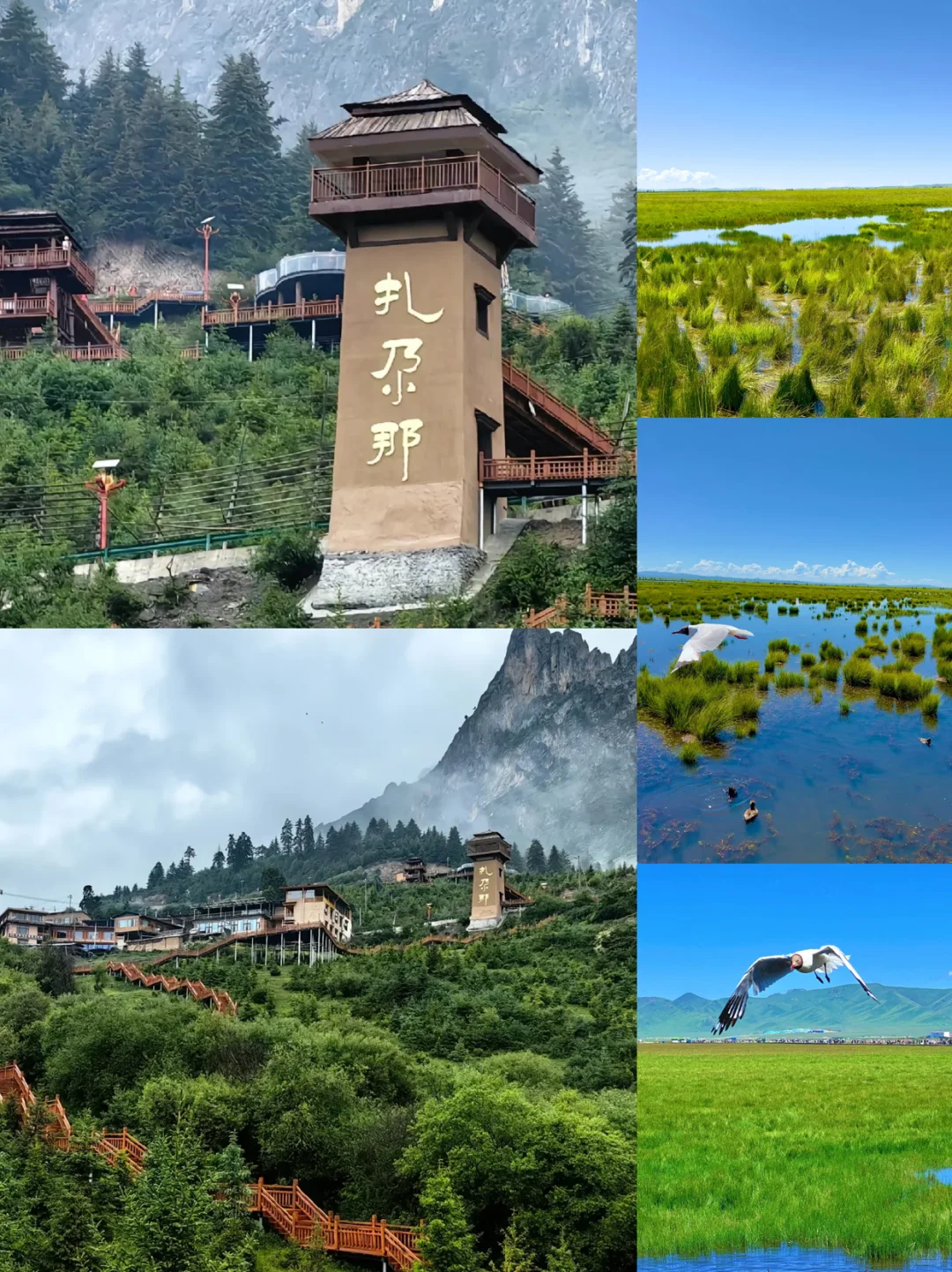 被《国家地理》评为此生必去的地方❗甘南