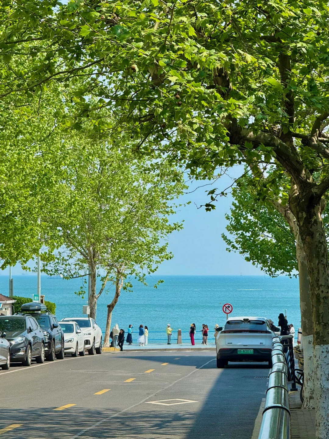 5.10实况！青岛的海边风景已经是next level！