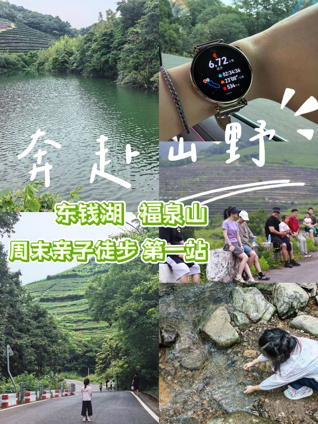 🍃宁波周末亲子徒步🌿第一站 福泉茶山