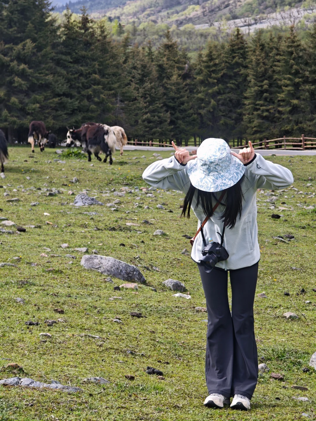 成都-四姑娘山-九寨沟不自驾不跟团攻略1⃣️