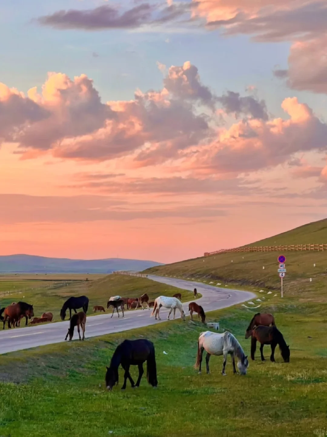 新疆旅游已回，说点扎心的大实话。。。