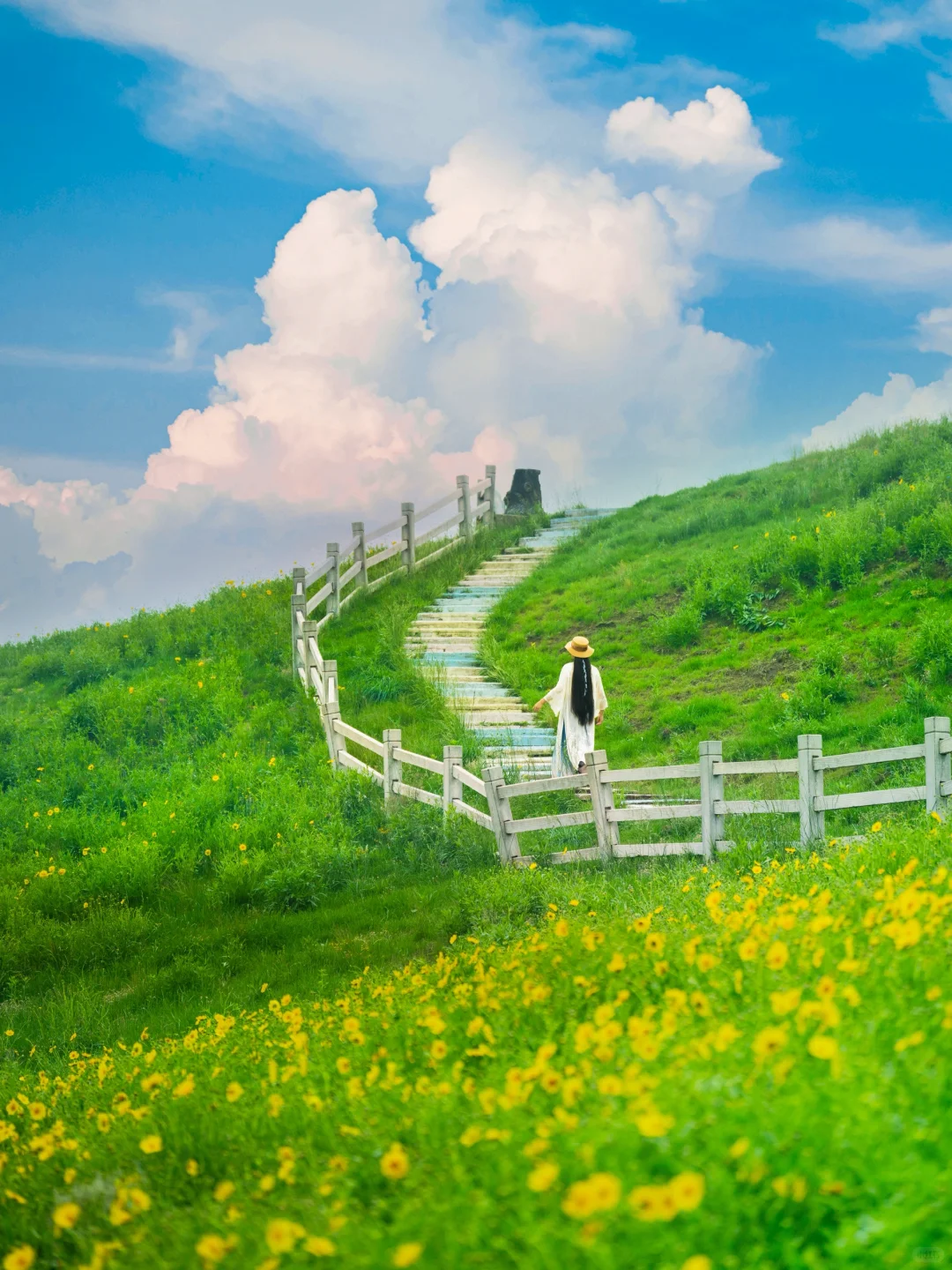 可惜你不来安吉❗️不知道悬崖上的草原多好玩