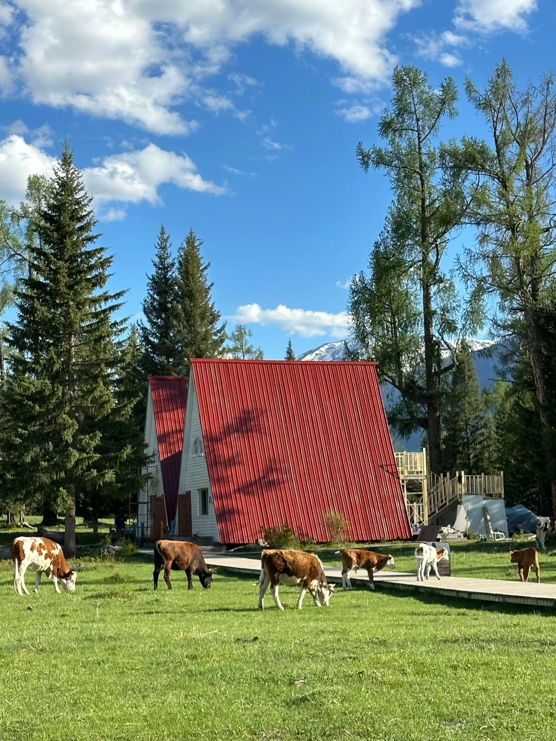 新疆跟团已回,谈谈北疆真实消费!(永不删)