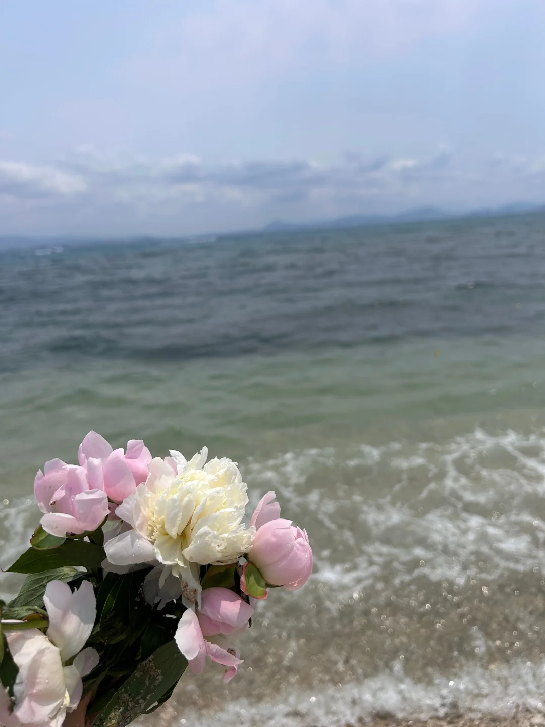 反向旅行🏝五月的三亚真的是人间理想吧。。。