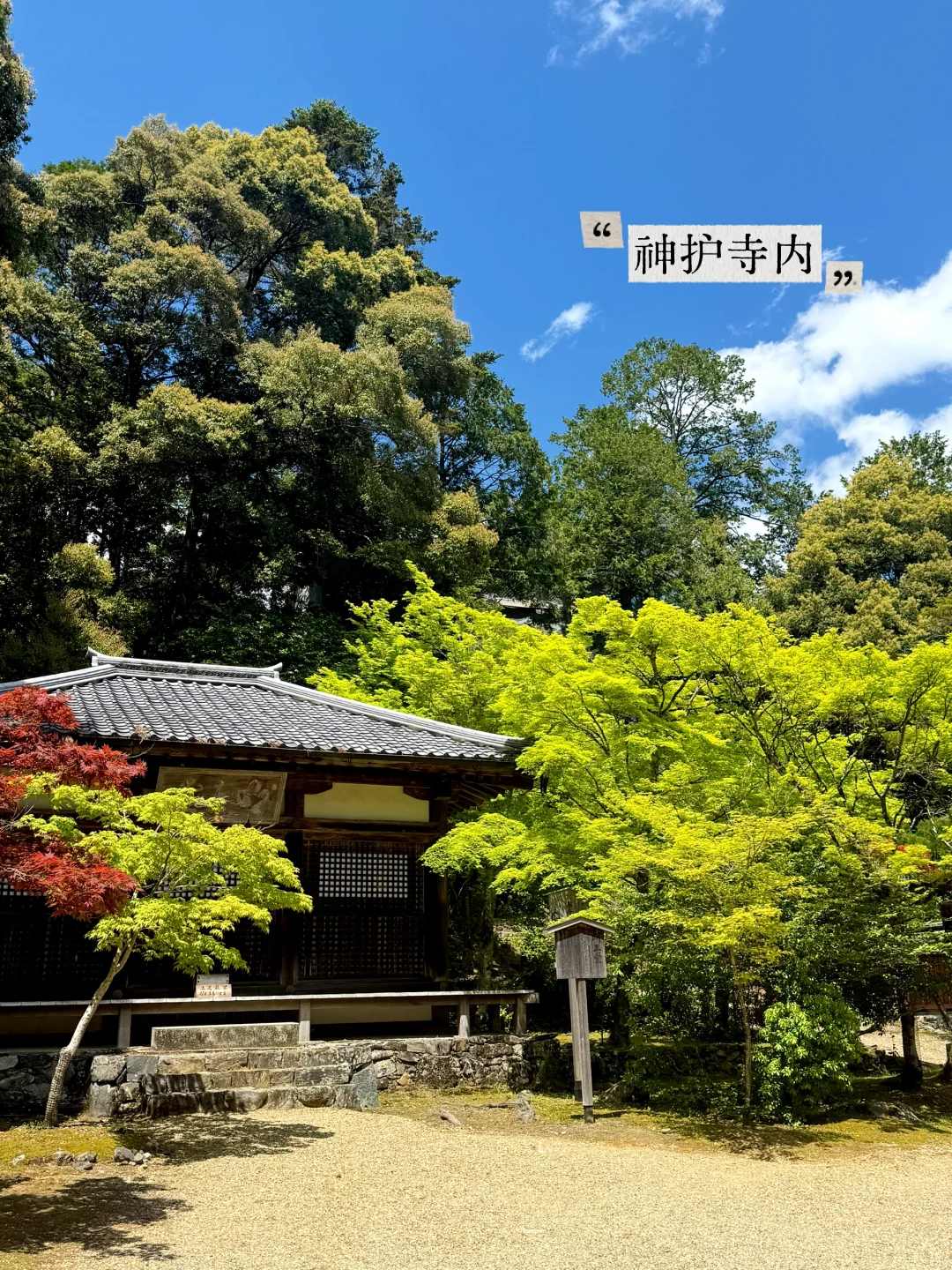 避开人潮！京都初夏绿径，高雄线徒步攻略