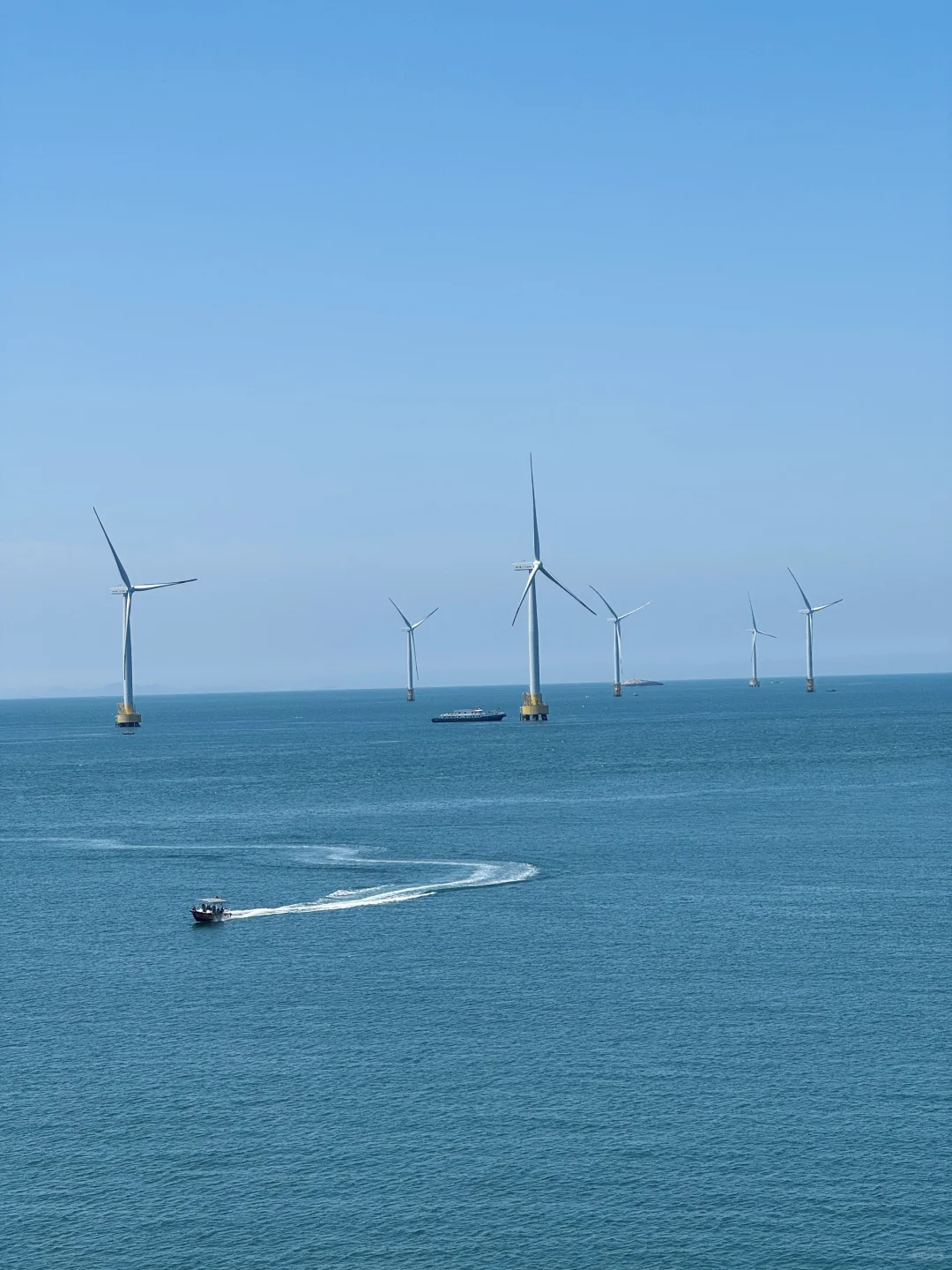 平潭，狗都不…