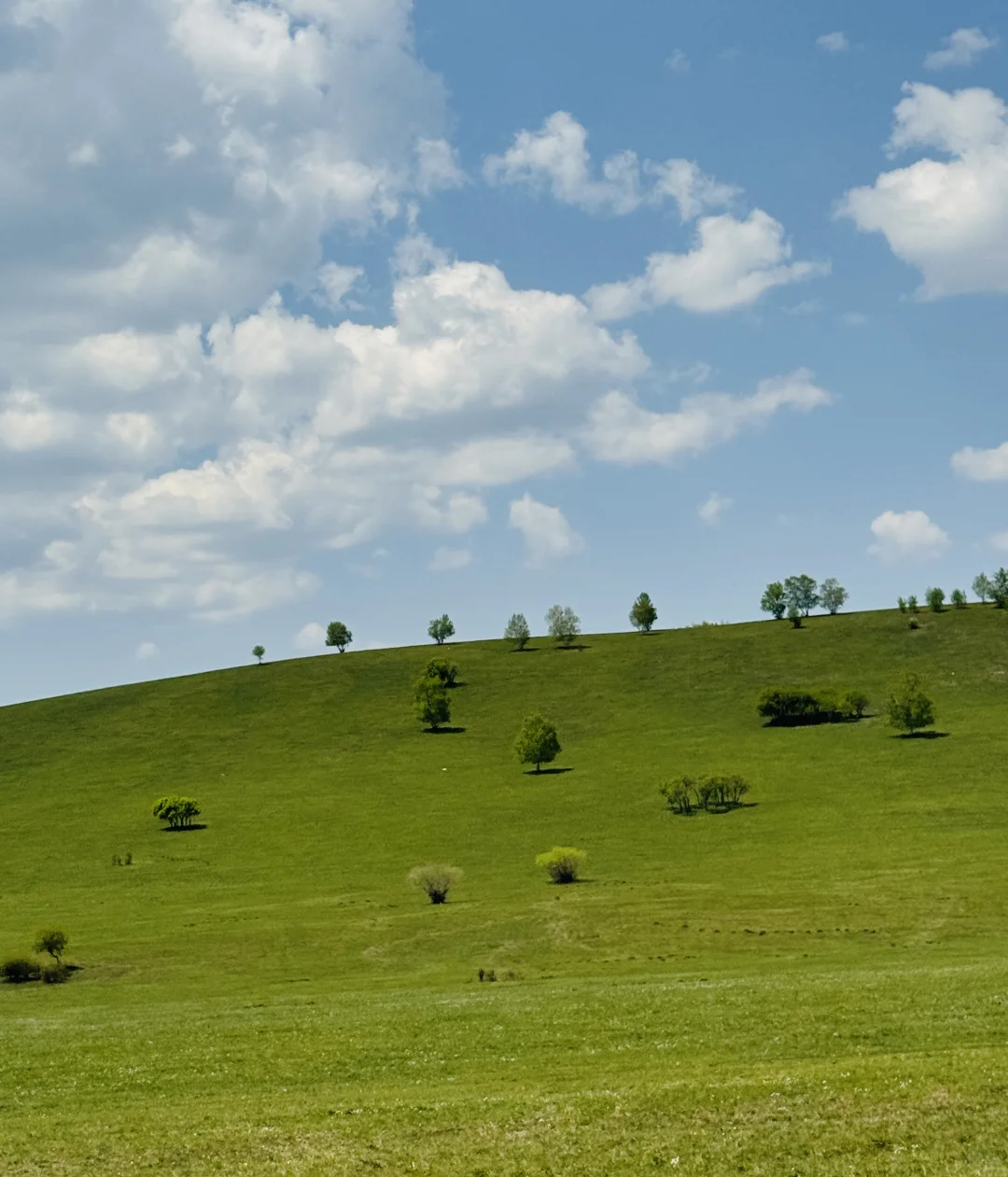 北京出发赤峰大青山两天一晚
