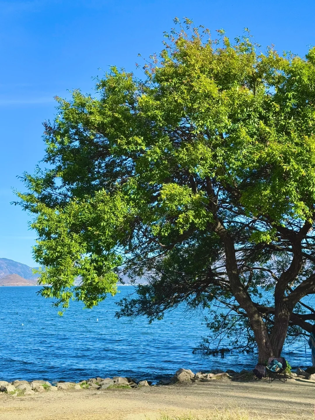 大理已回❗️真心提醒5~6月要去的姐妹们😓