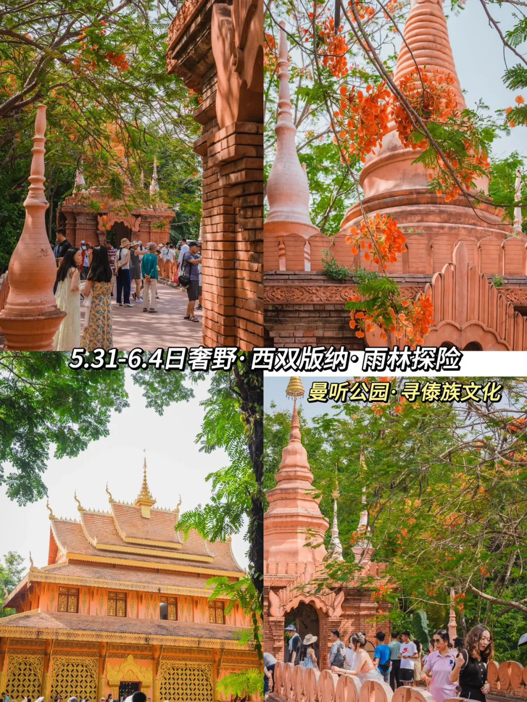谁懂参加都是年轻人的旅行团的快乐‼️