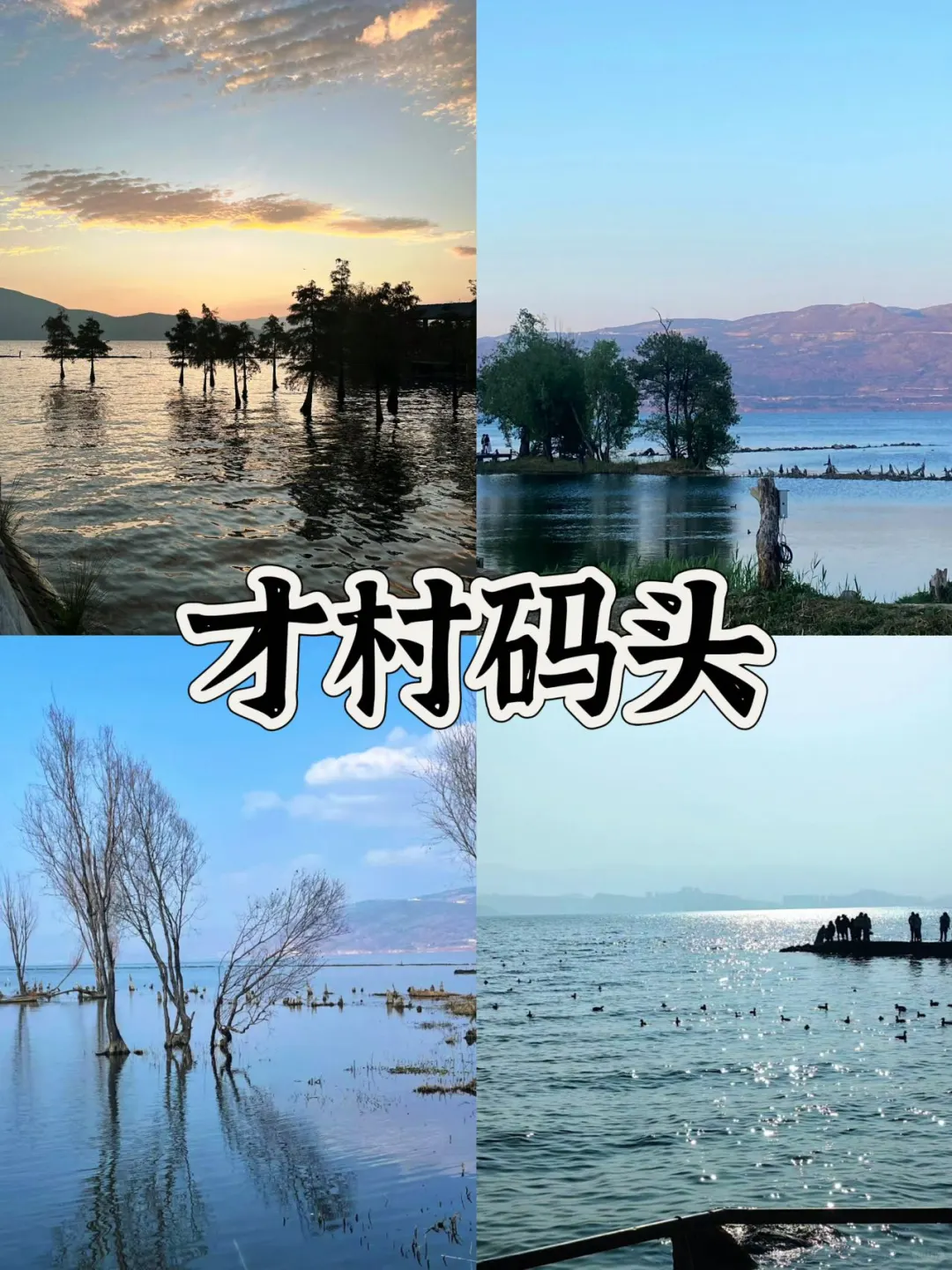 03女大📍大理/三天二夜详细版旅游攻略‼️