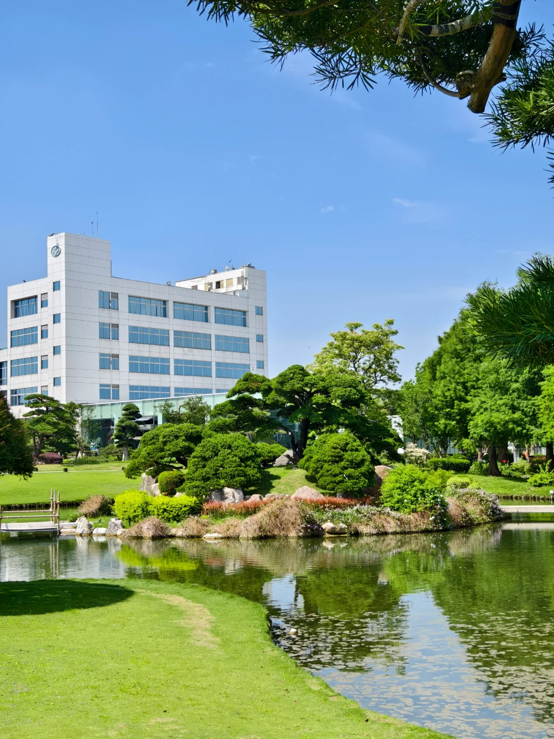 企鵝花絮 - 成美文化園B CUT