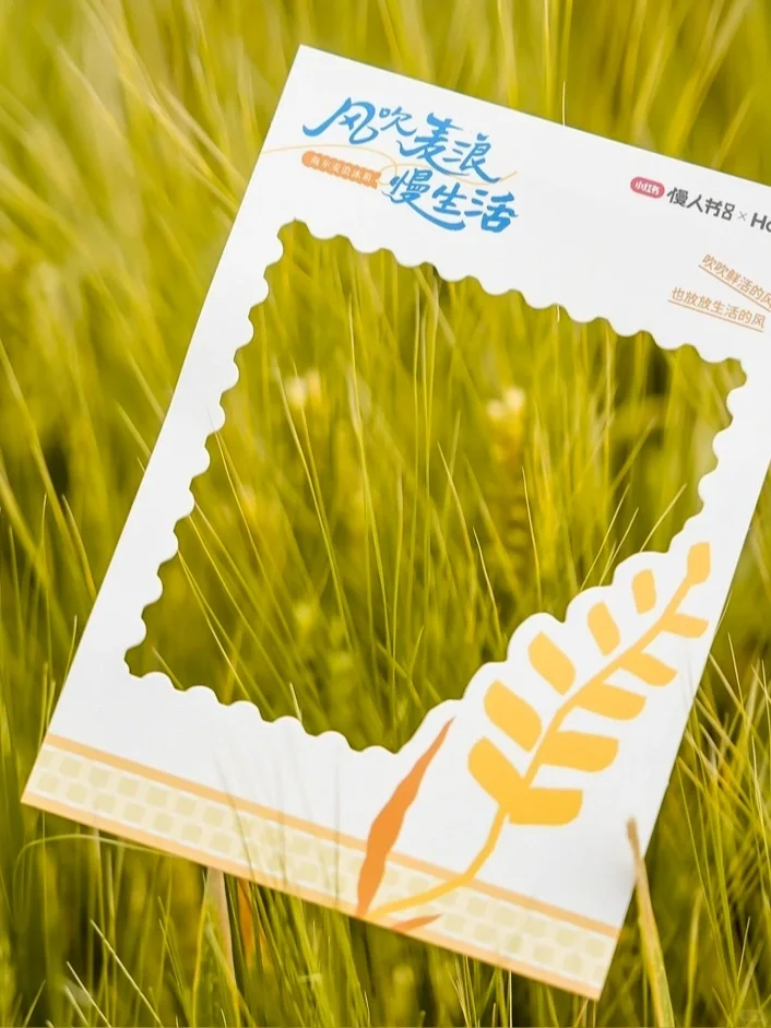 大理已回❗️真心提醒5~6月要去的姐妹们😓