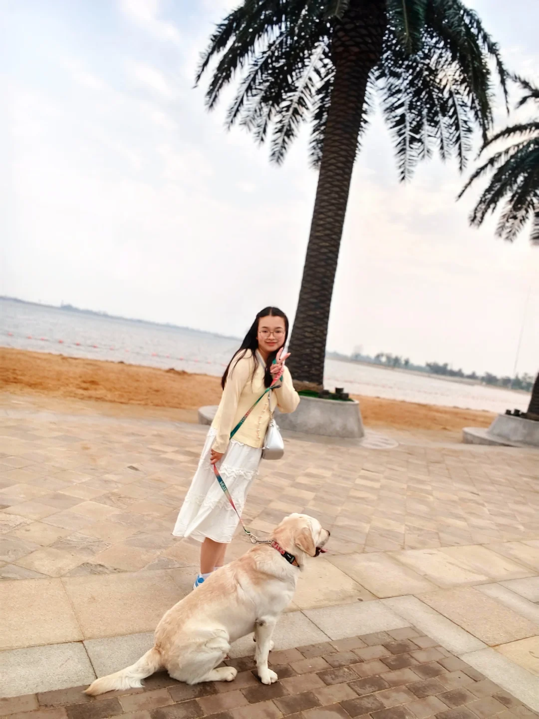 带小狗看海🌊