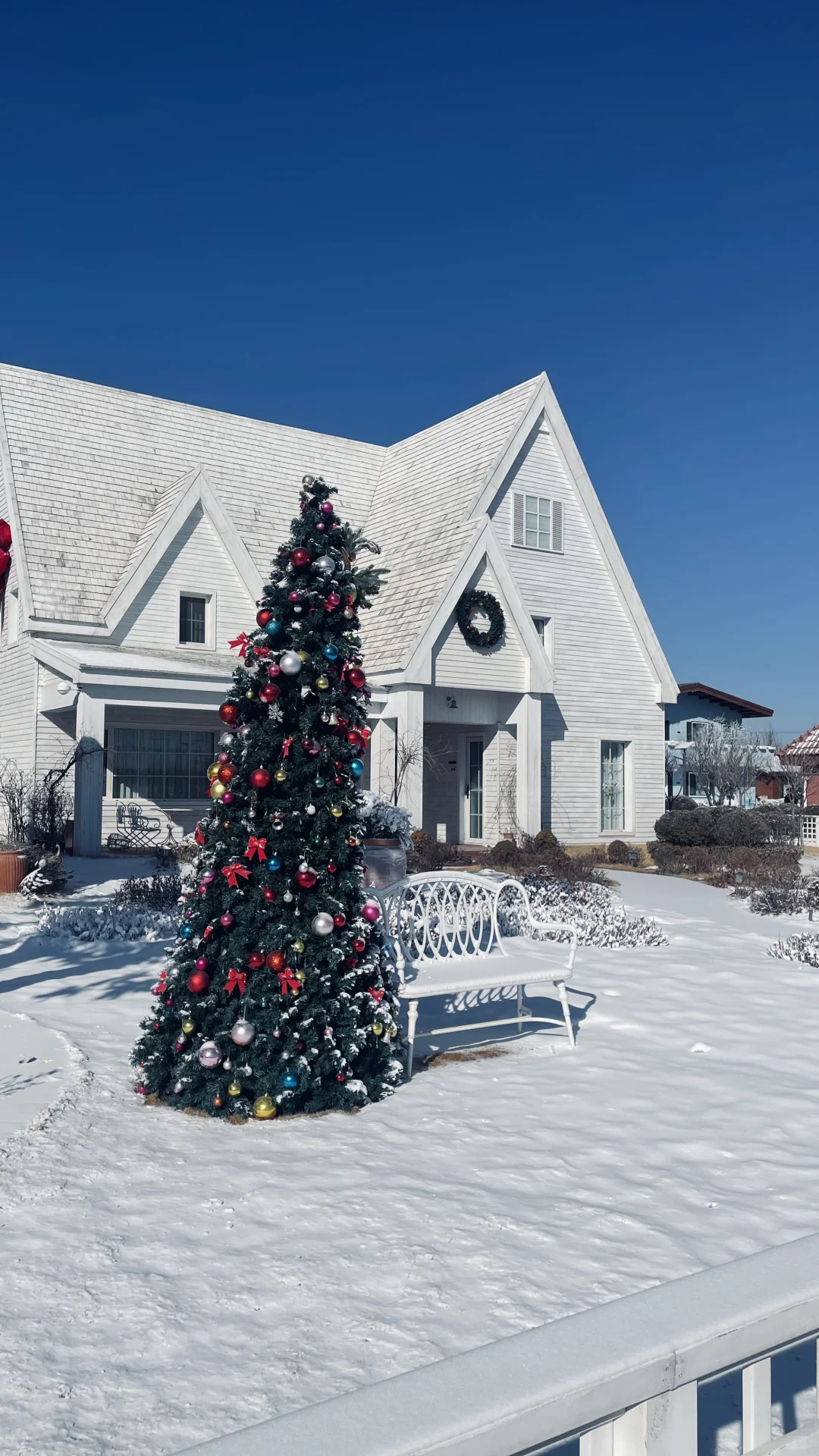雪落山东，醉东风藏着的冰雪绮梦！