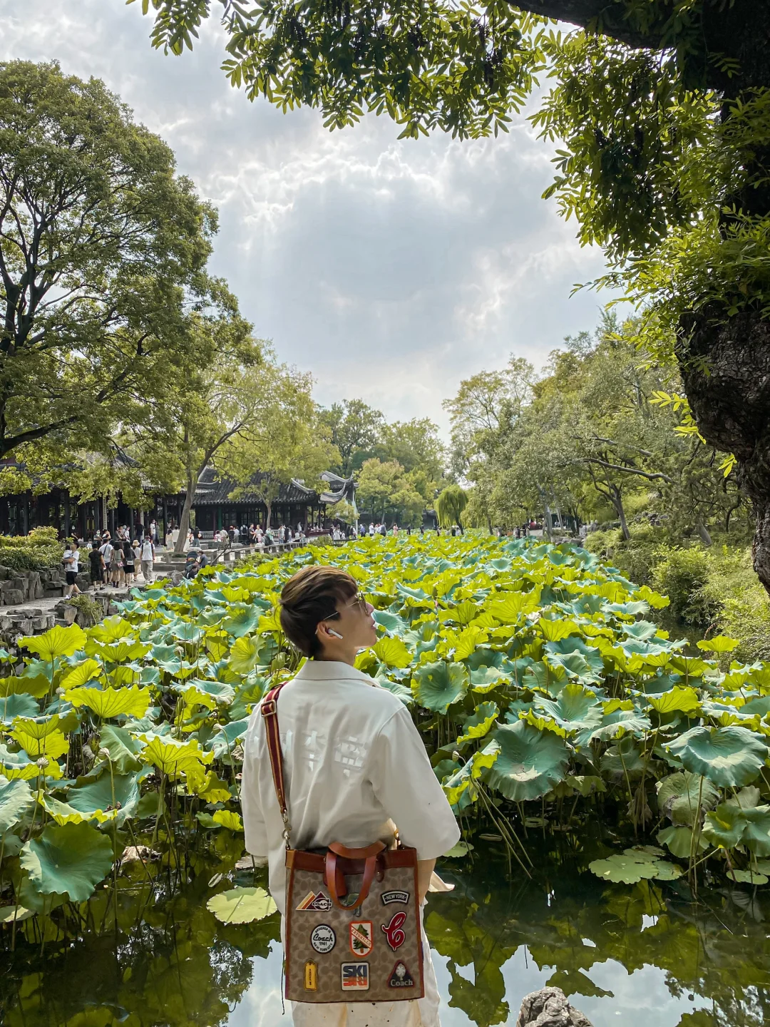 对我的端午节苏州攻略满意到睡不着觉……