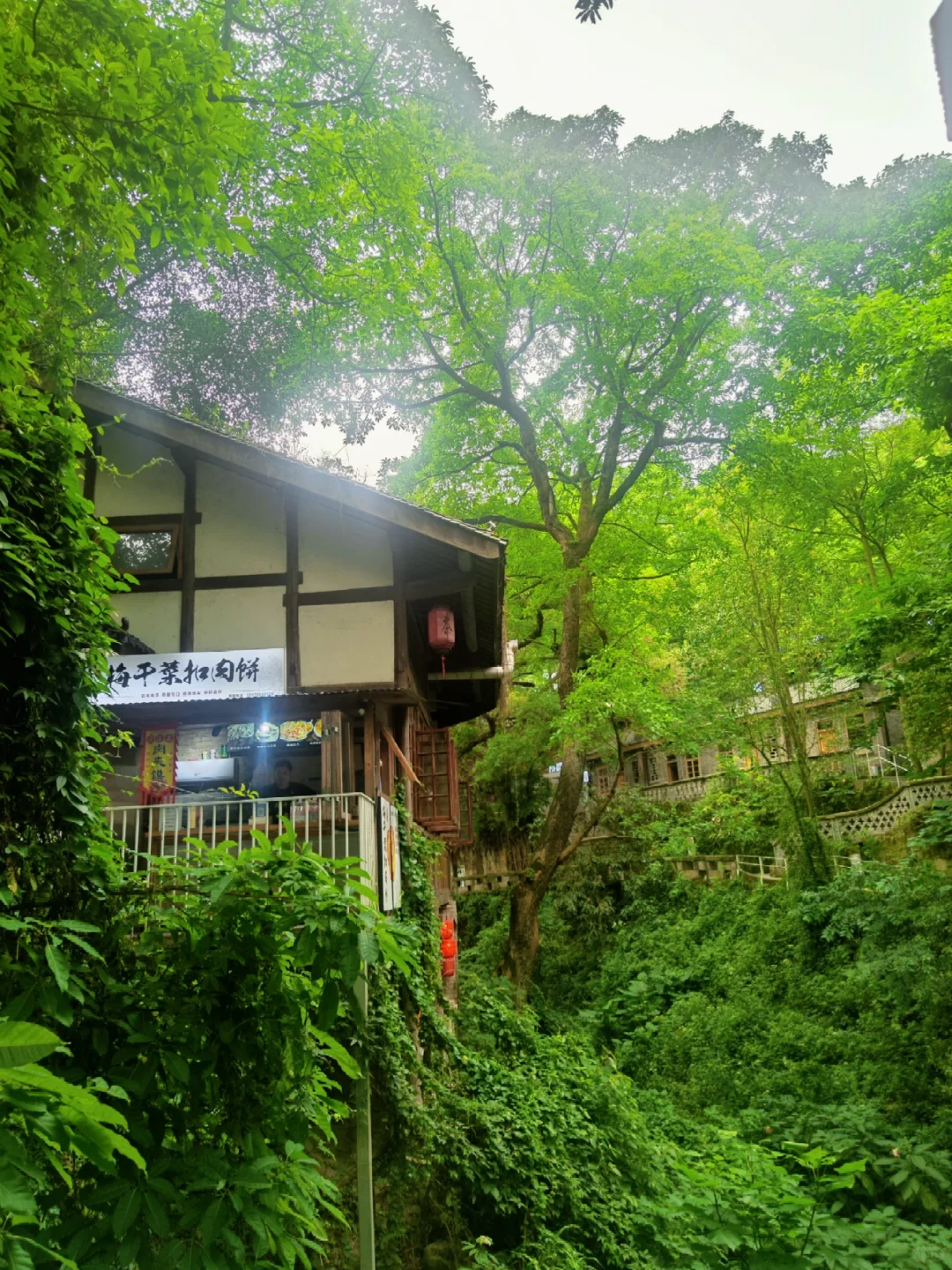 金刚碑的live图可以封神了🎄