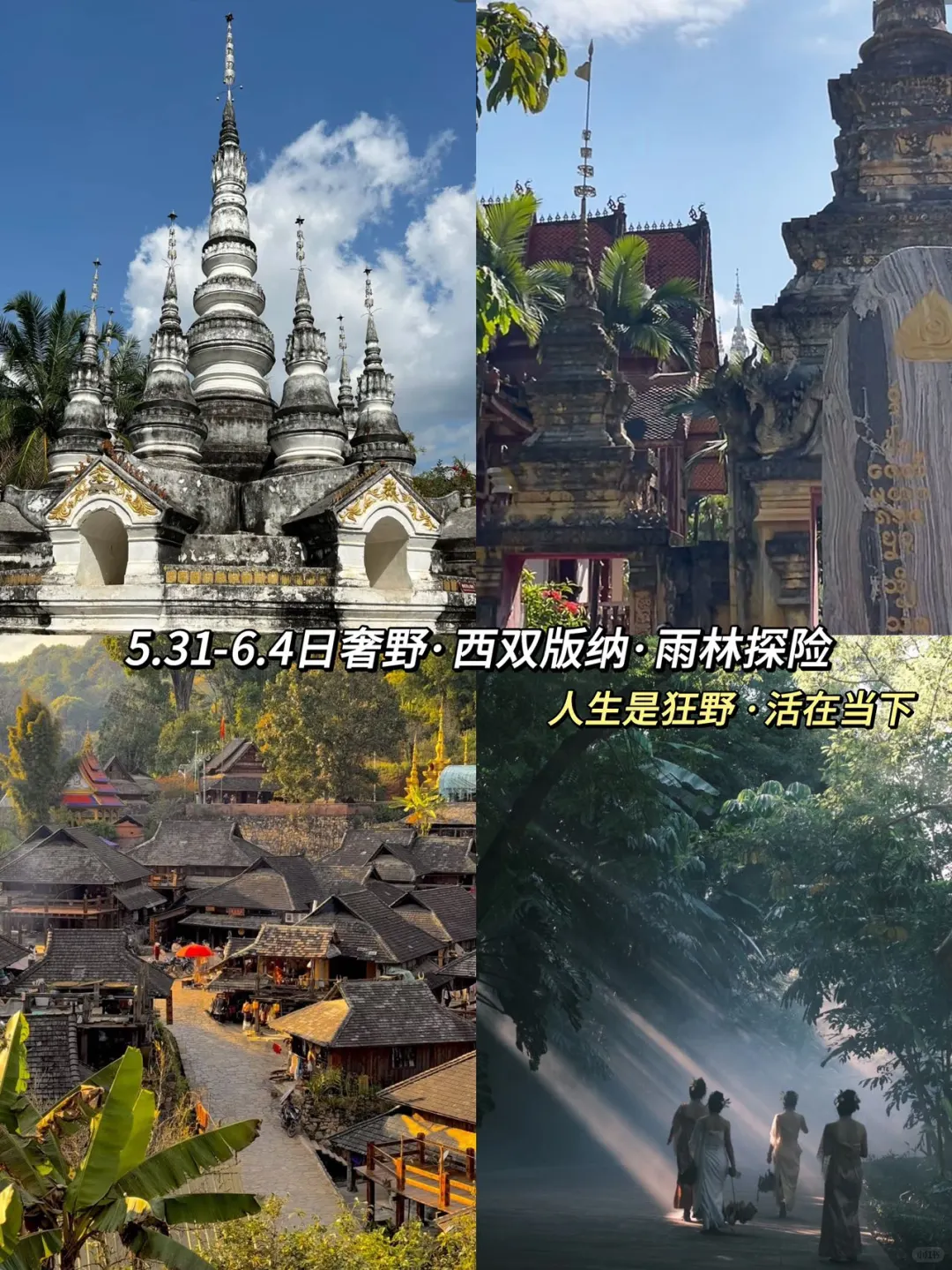 谁懂参加都是年轻人的旅行团的快乐‼️