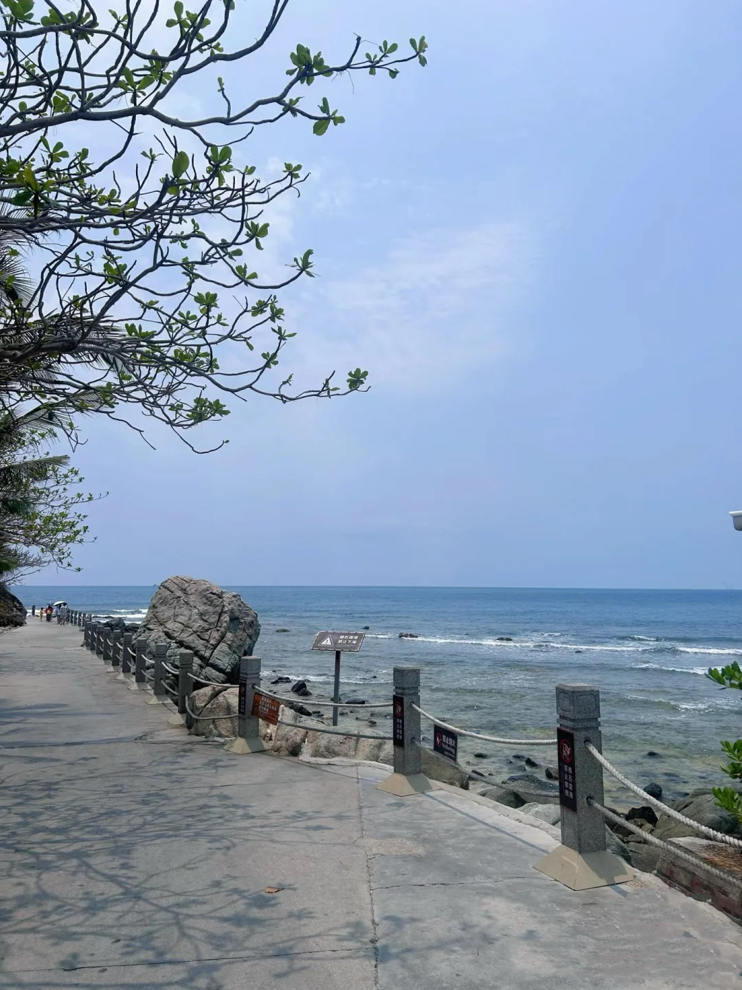 反向旅行🏝五月的三亚真的是人间理想吧。。。