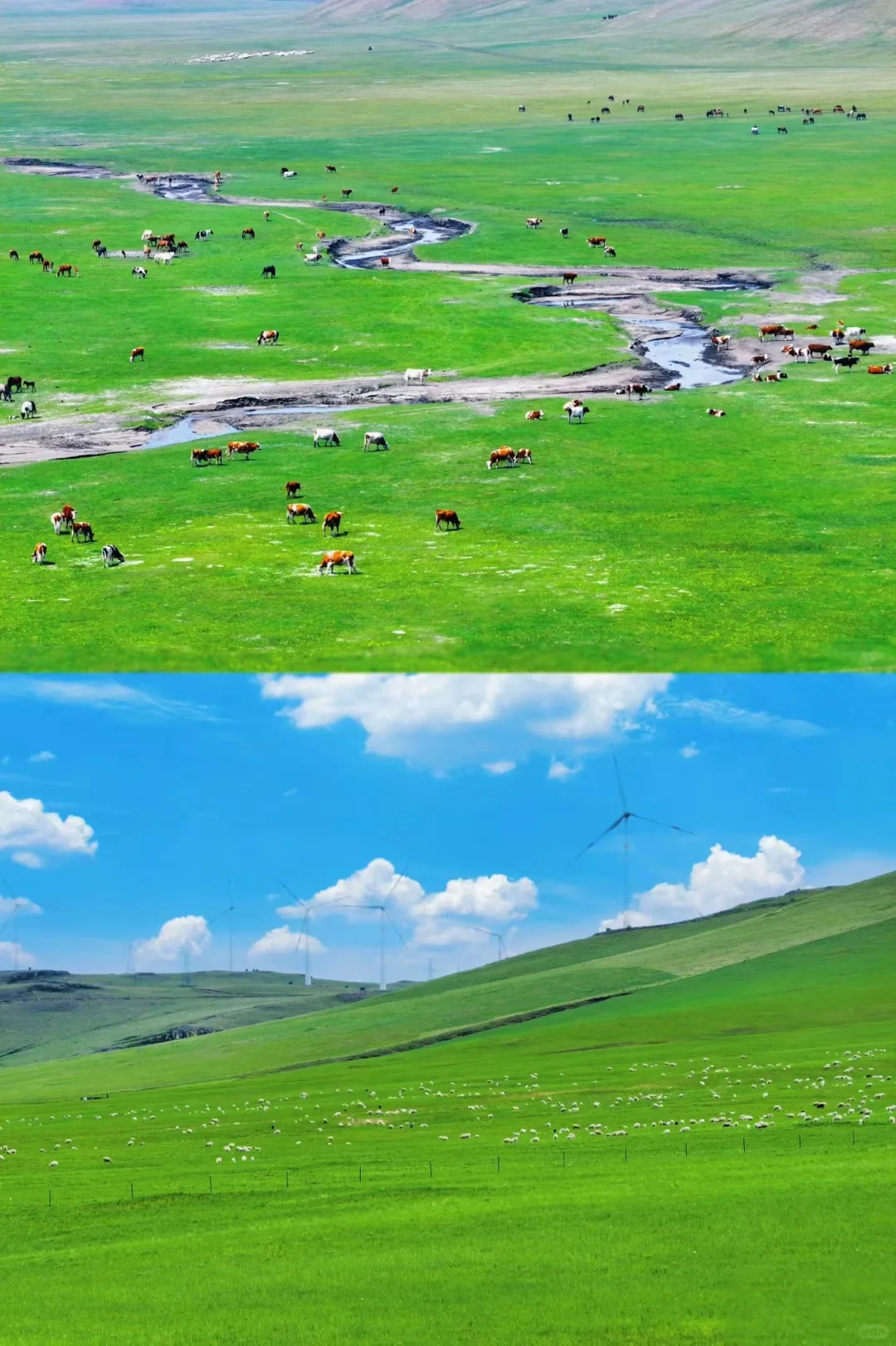 👫和TA的草原私奔之旅|呼伦贝尔旅游攻略