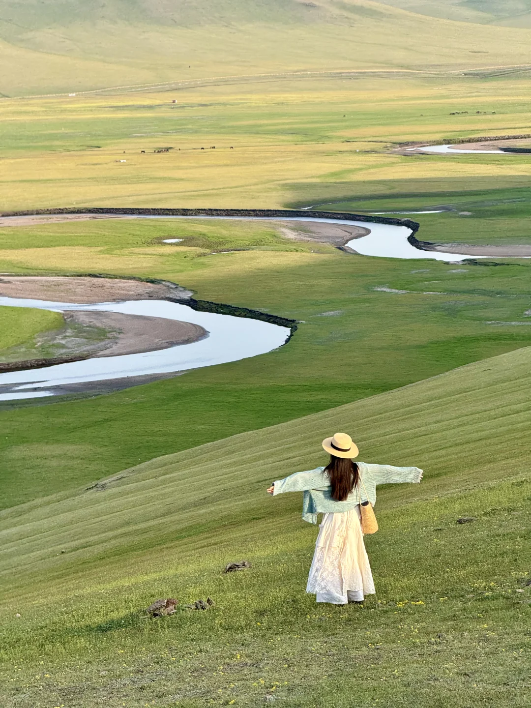 初夏的呼伦贝尔，美到失语！！！