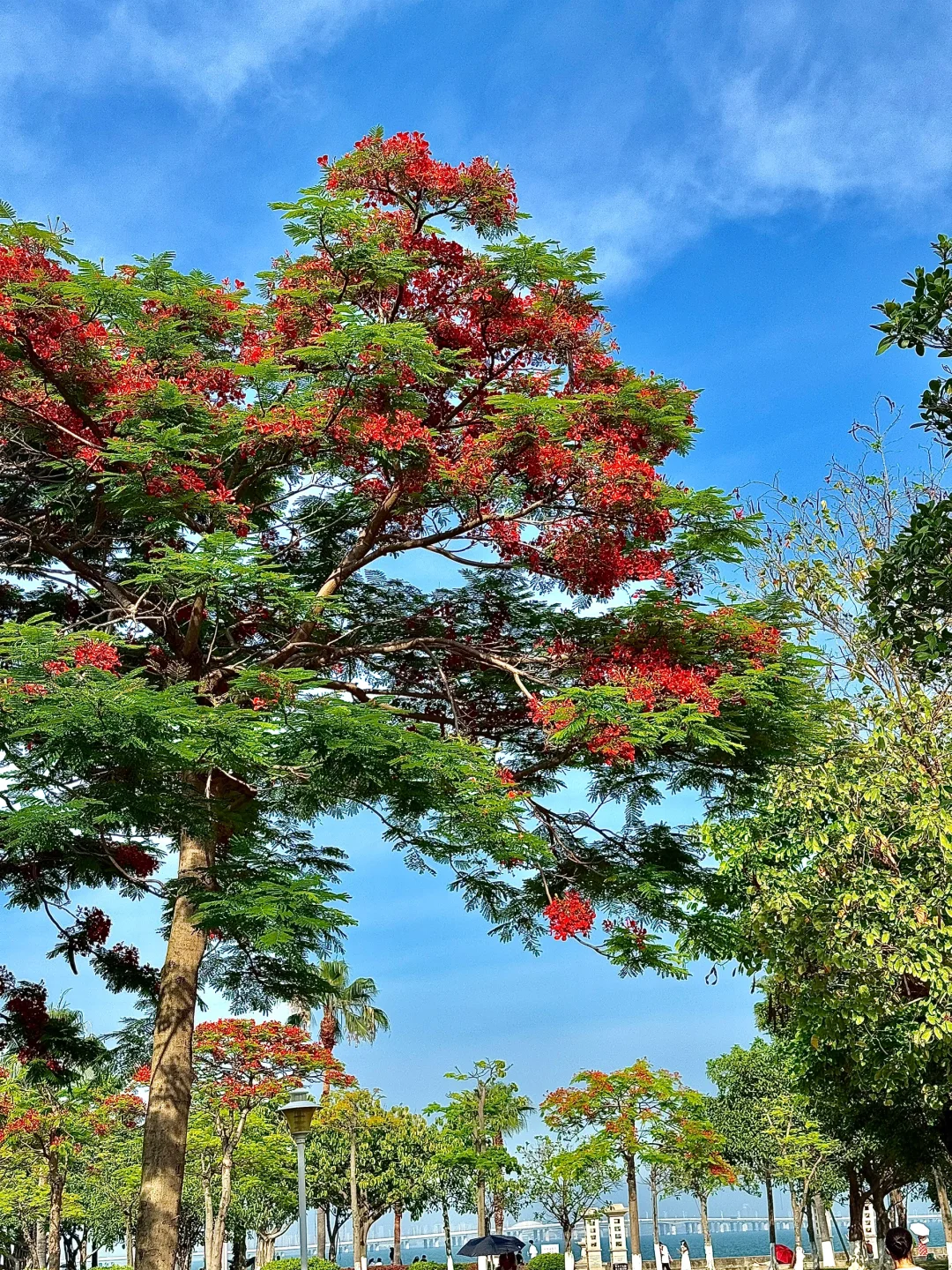 人生建议——厦门集美Citywalk一定要带伞‼️