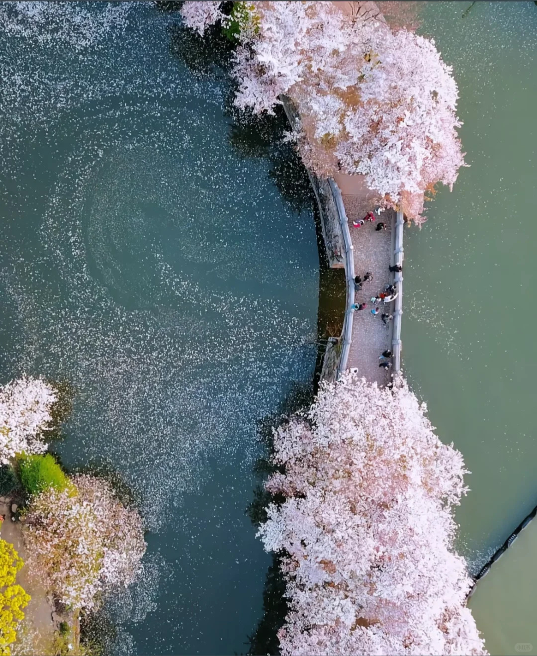 🔥🌍江南不止苏杭！无锡深度游全攻略