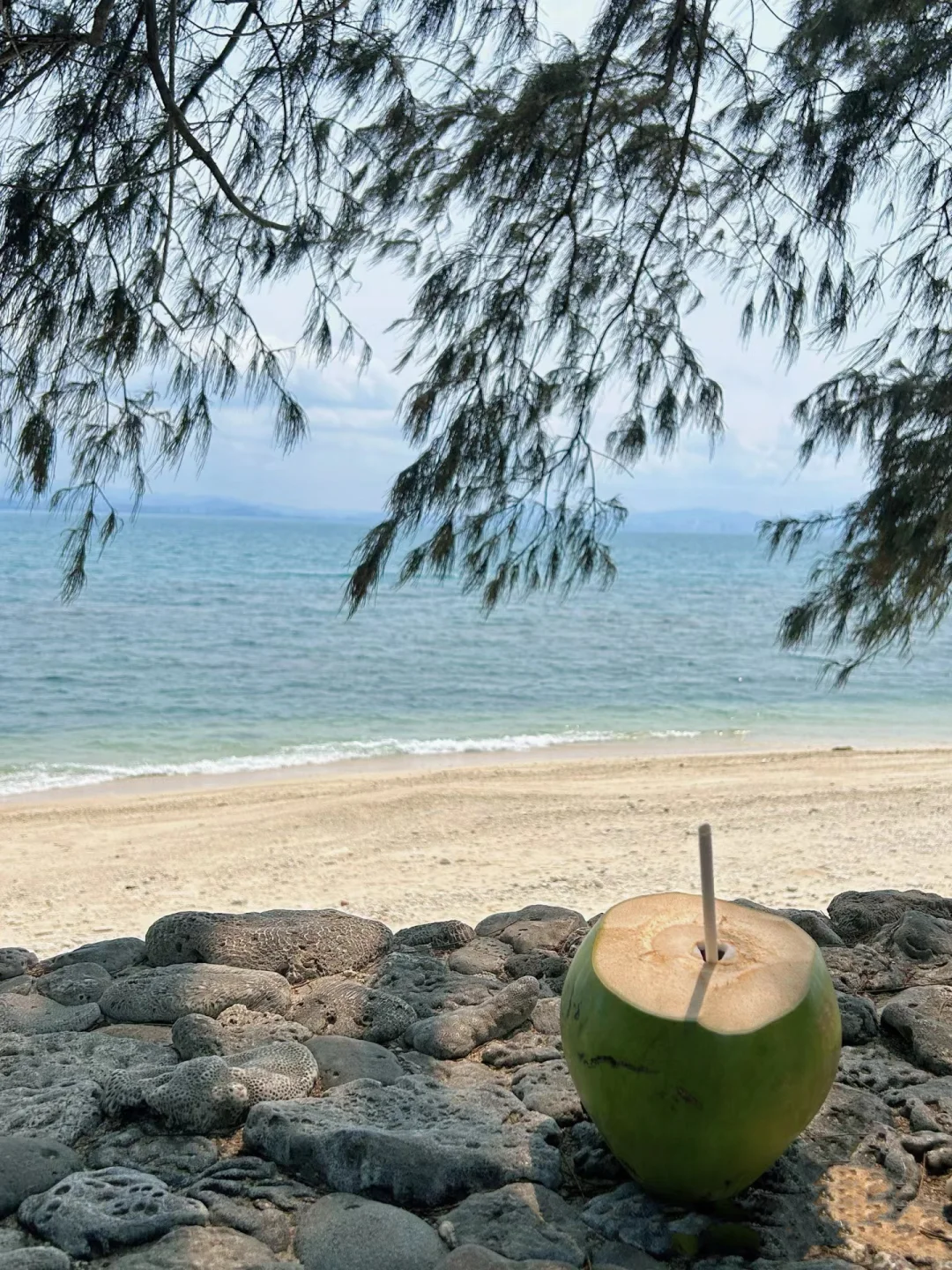 反向旅行🏝五月的三亚真的是人间理想吧。。。