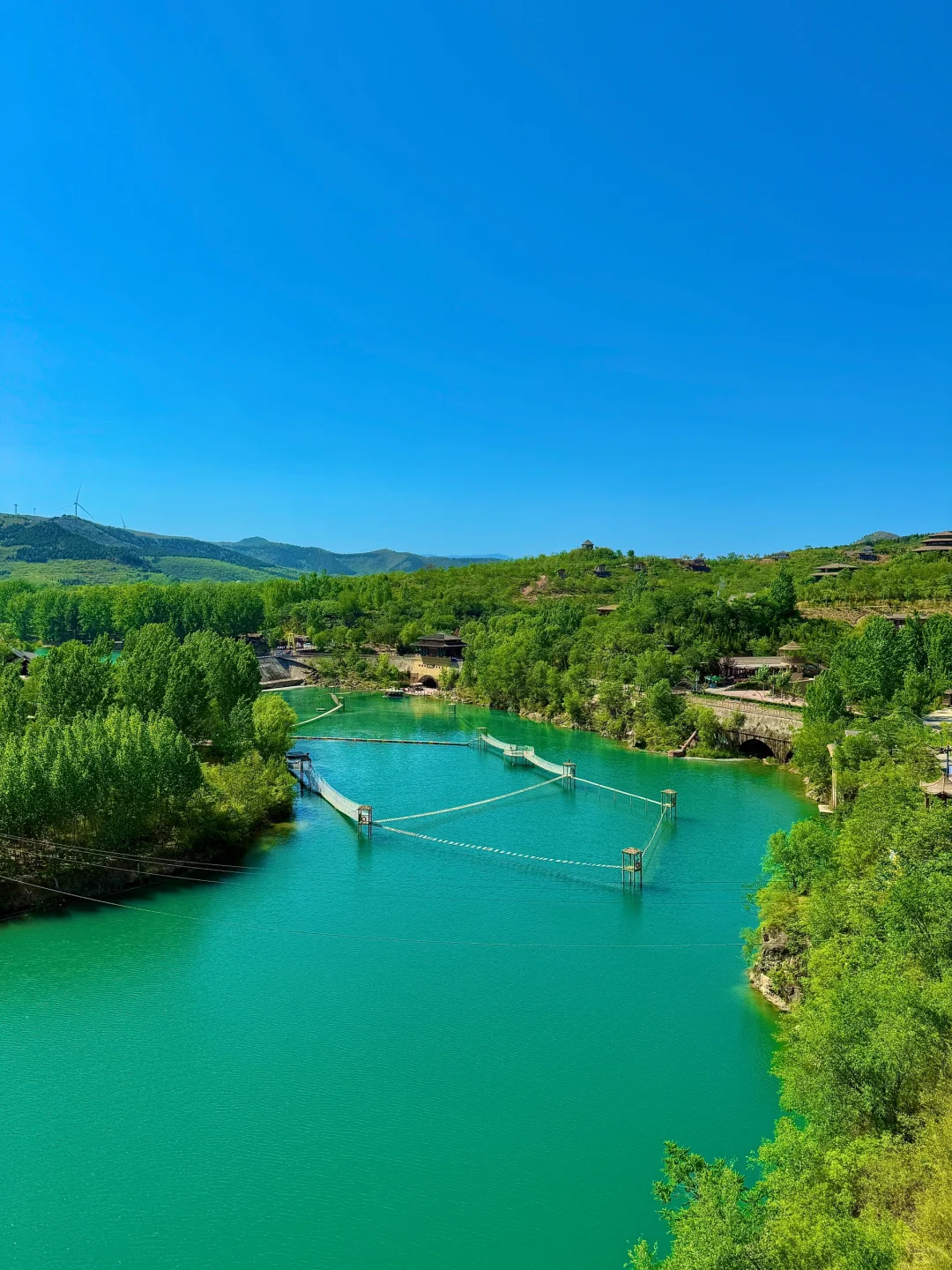 不在云南！在河南！发朋友圈被问爆了！！！