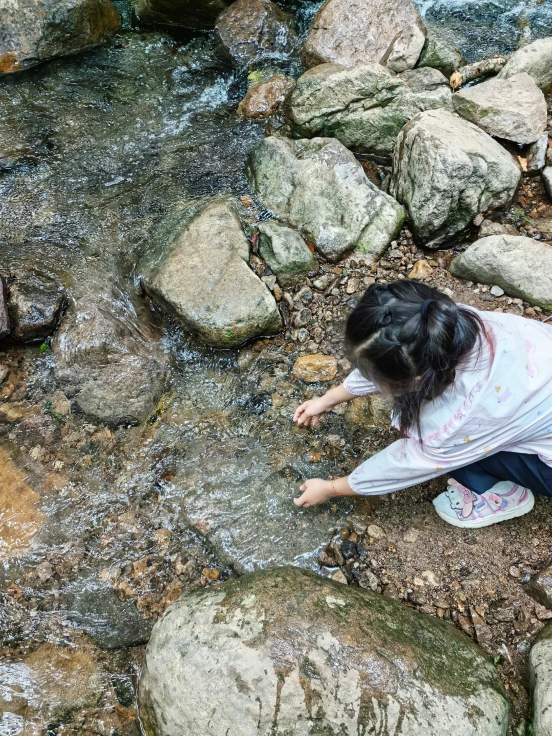 🍃宁波周末亲子徒步🌿第一站 福泉茶山