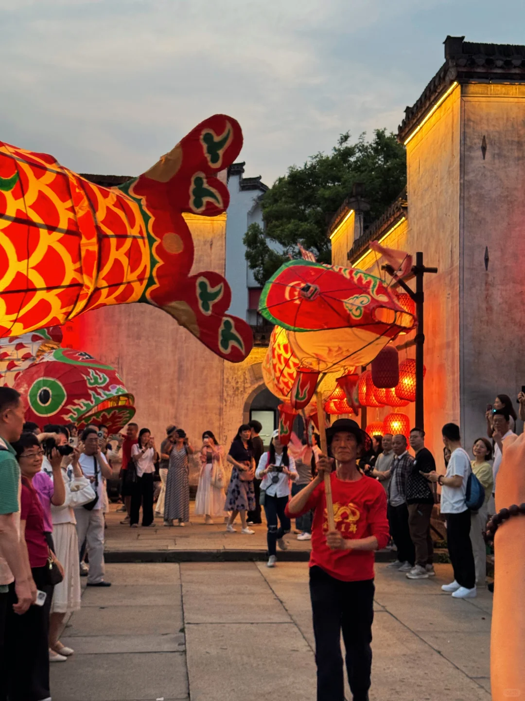 太震撼了！我拍到了辛弃疾词中“一夜鱼龙舞”…
