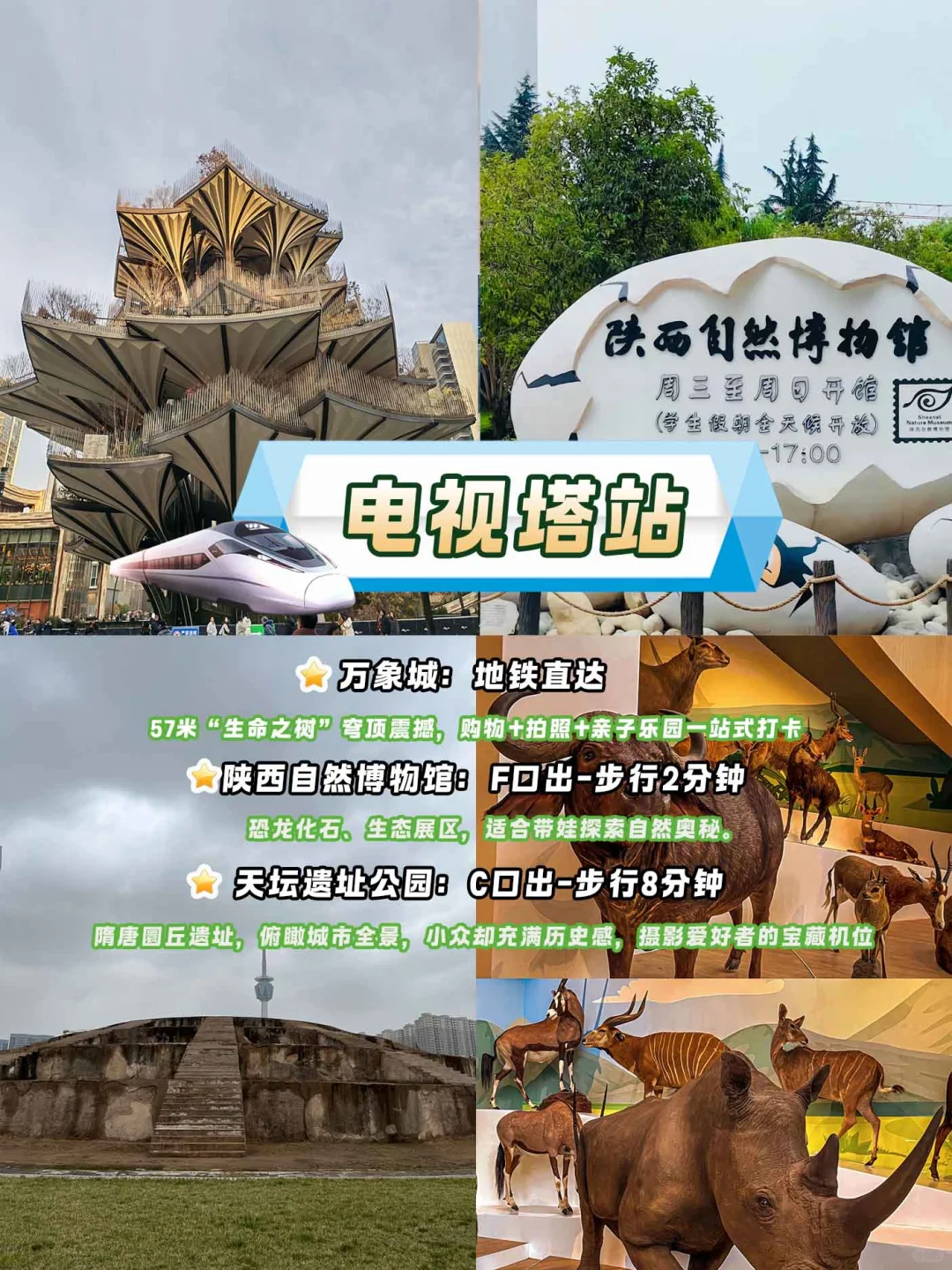 西安8号线环线Citywalk终极指南