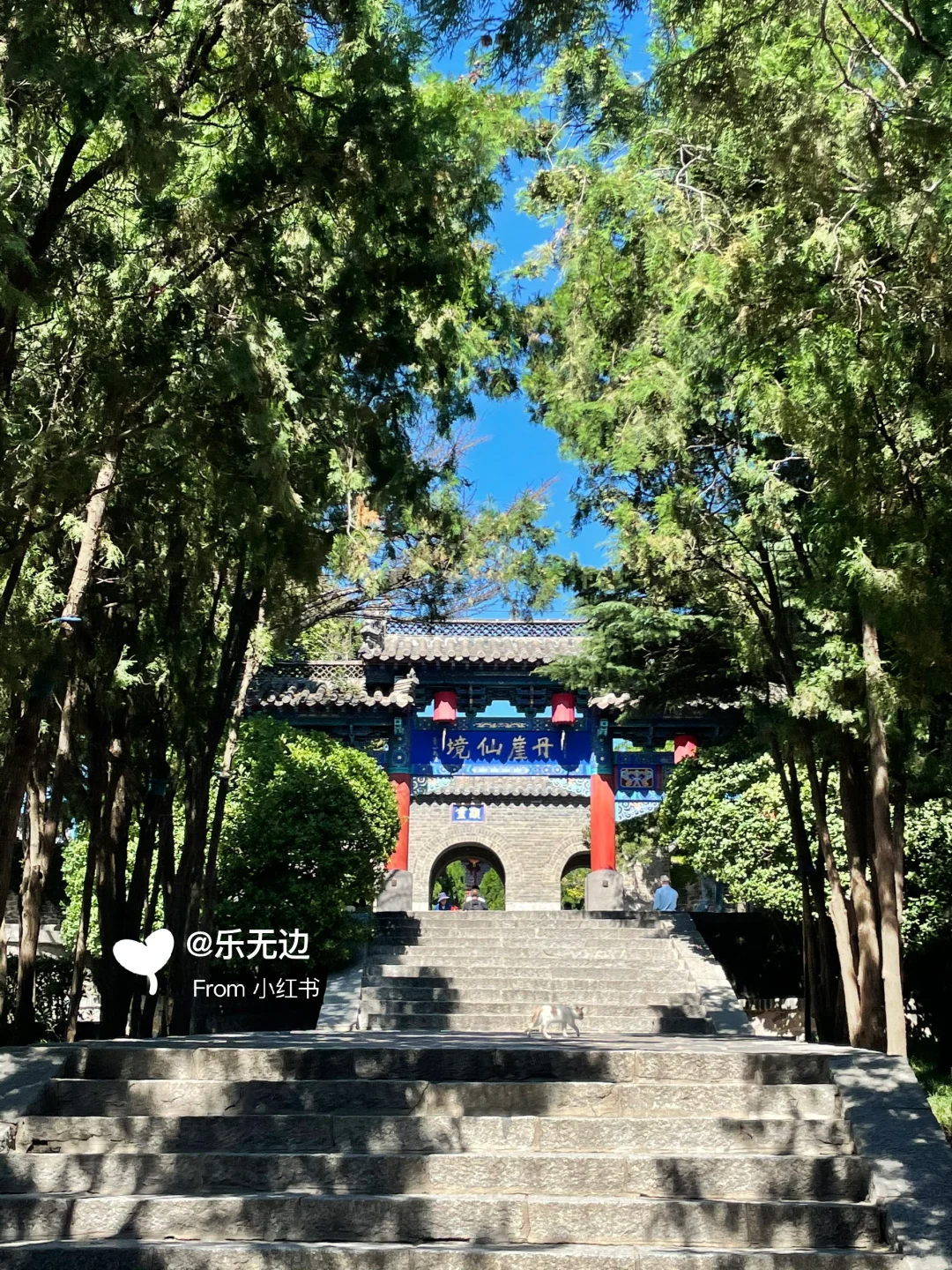 该怎么向你形容蓬莱阁的美❓