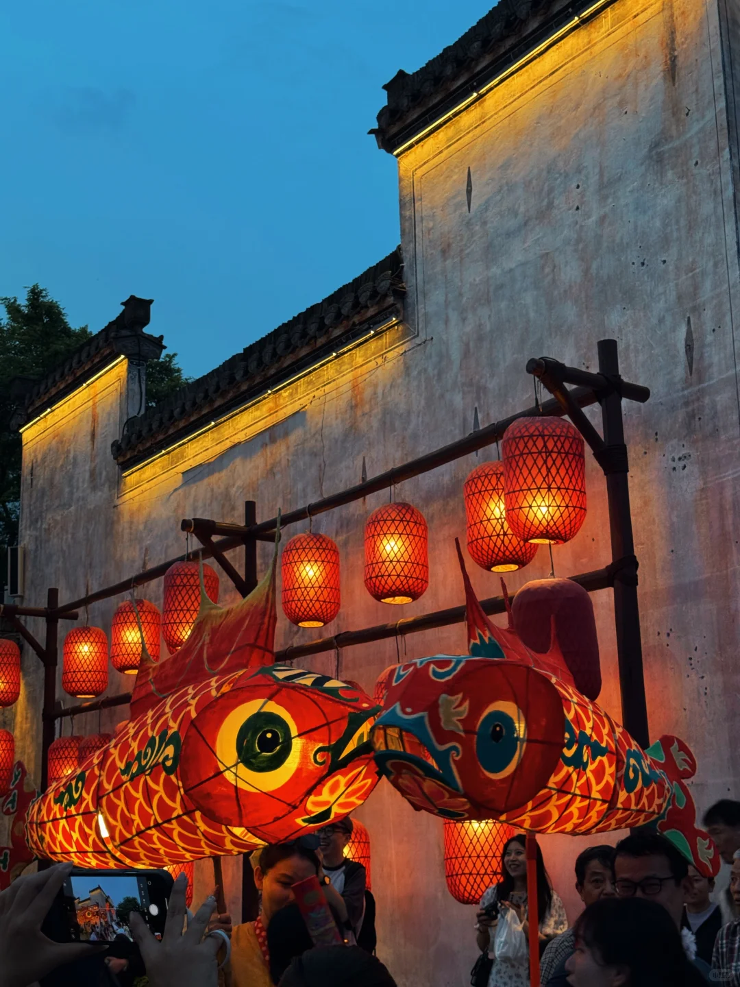 太震撼了！我拍到了辛弃疾词中“一夜鱼龙舞”…